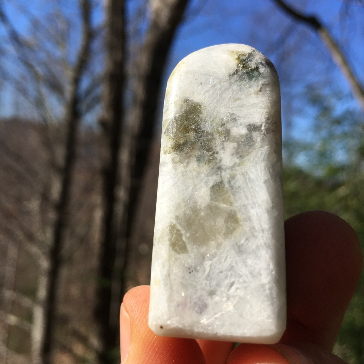 Euphoralite (Transformation) 025