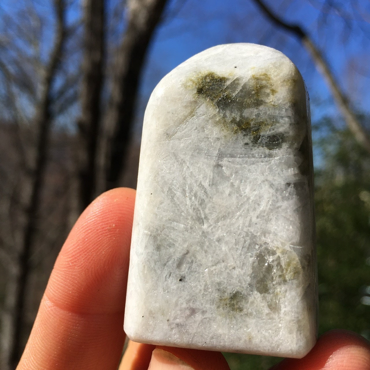 Euphoralite (Transformation) 025