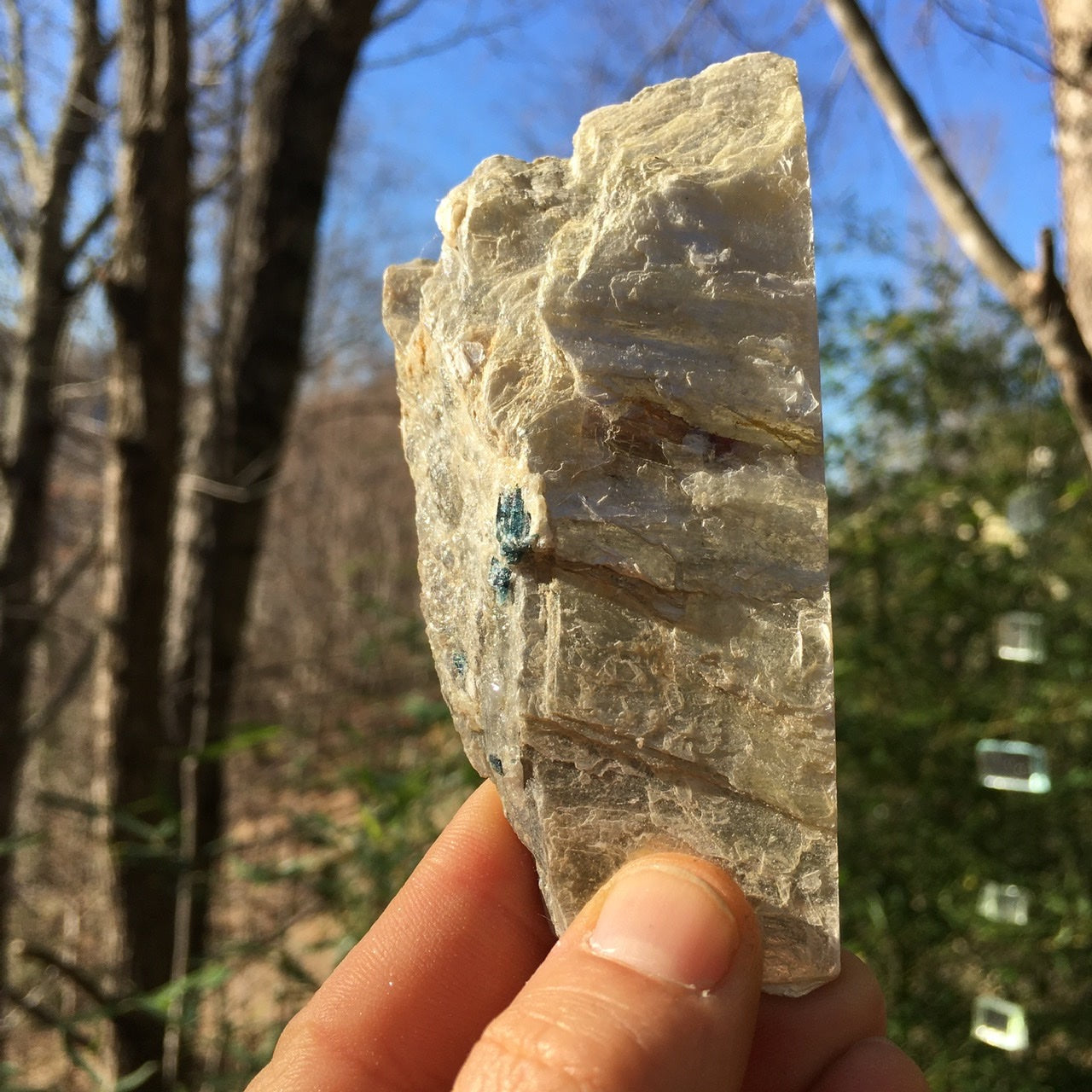 Euphoralite  (Illumination)  018
