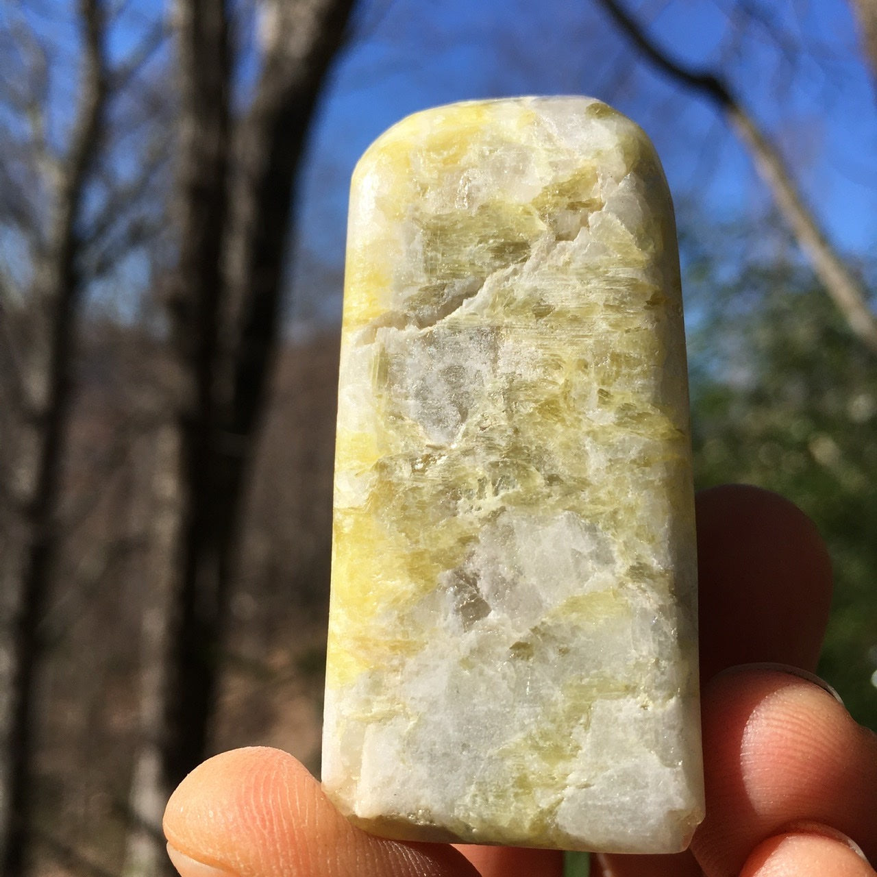 Euphoralite  (Rare Golden)  012