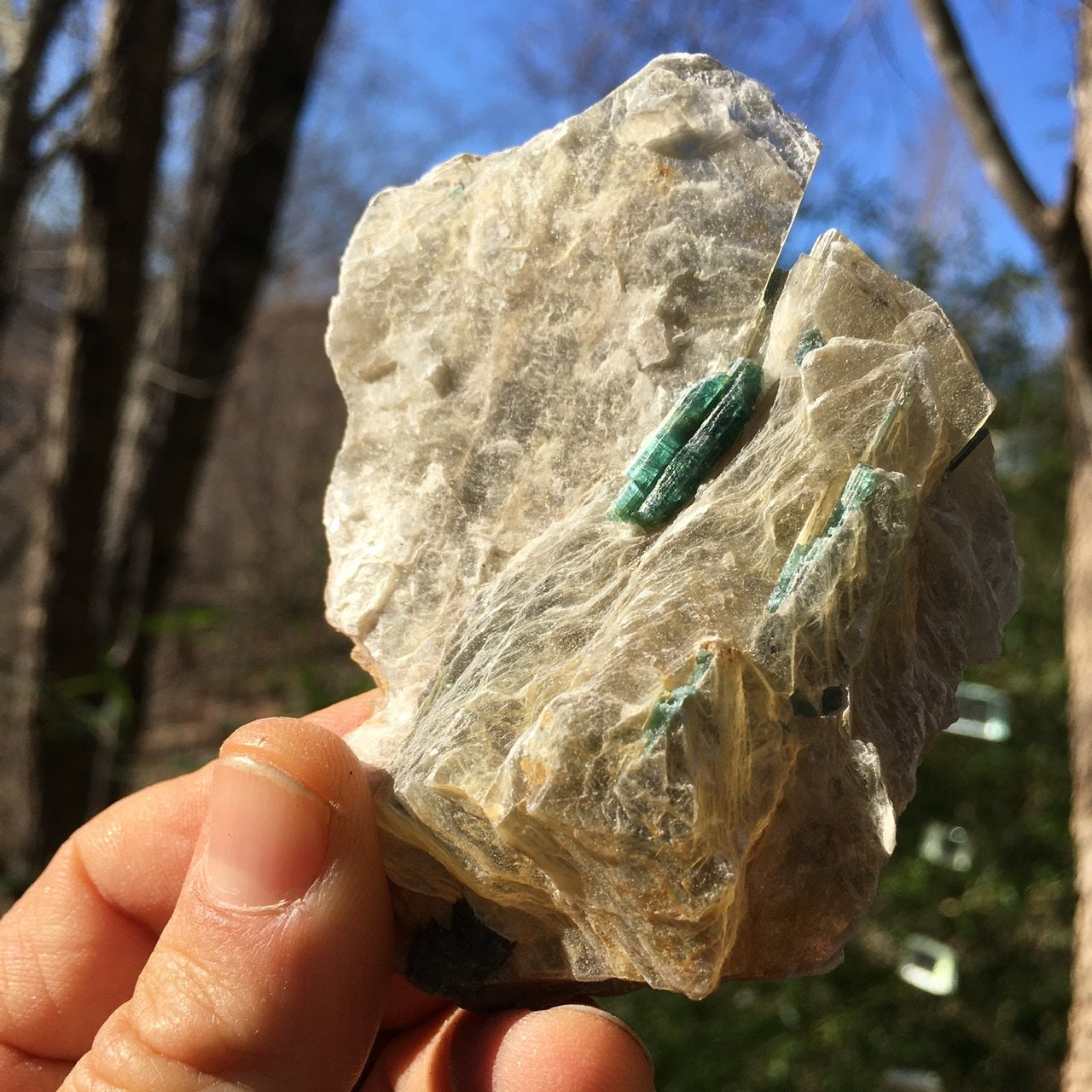 Euphoralite  (Illumination)  023