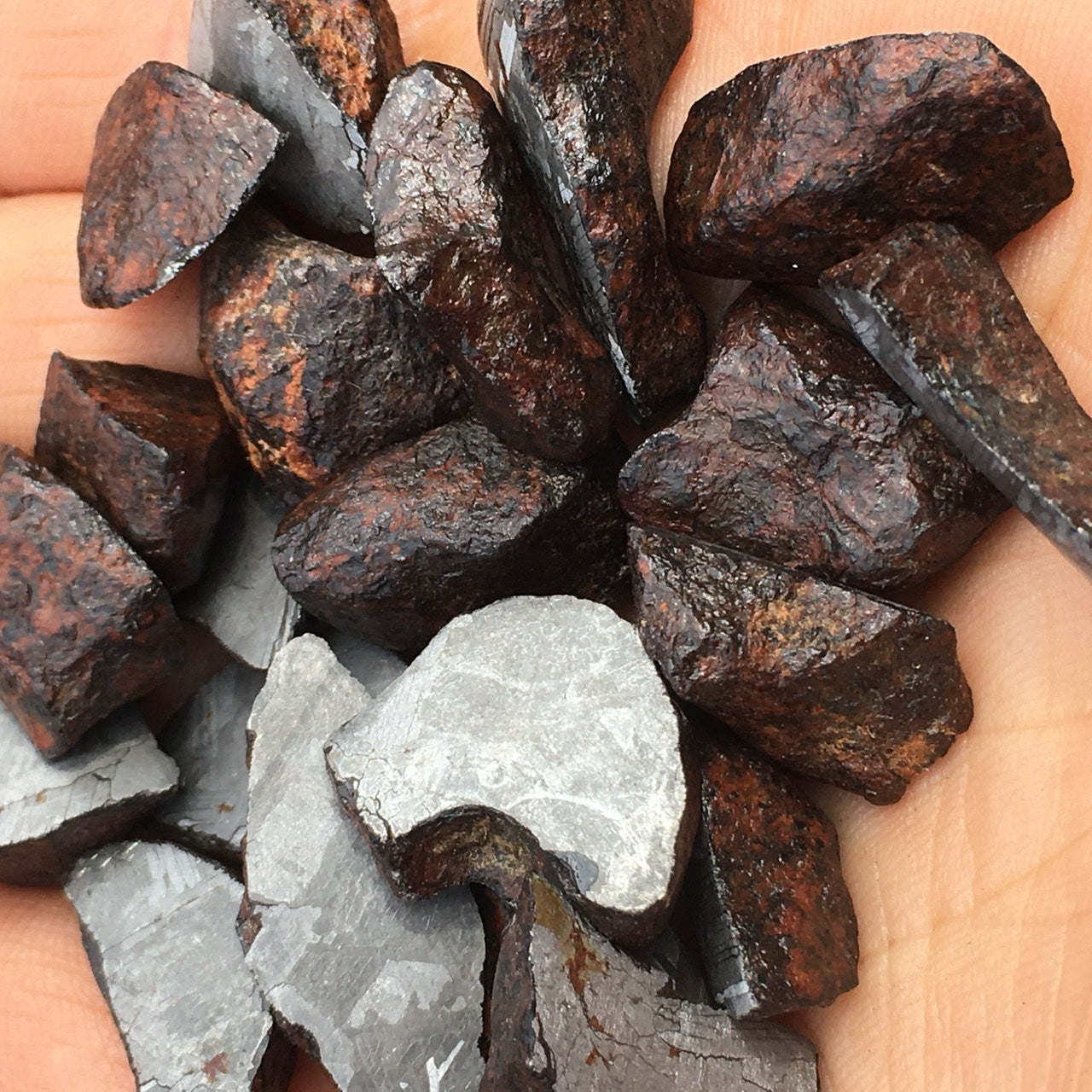 Meteorite, Half-Polished