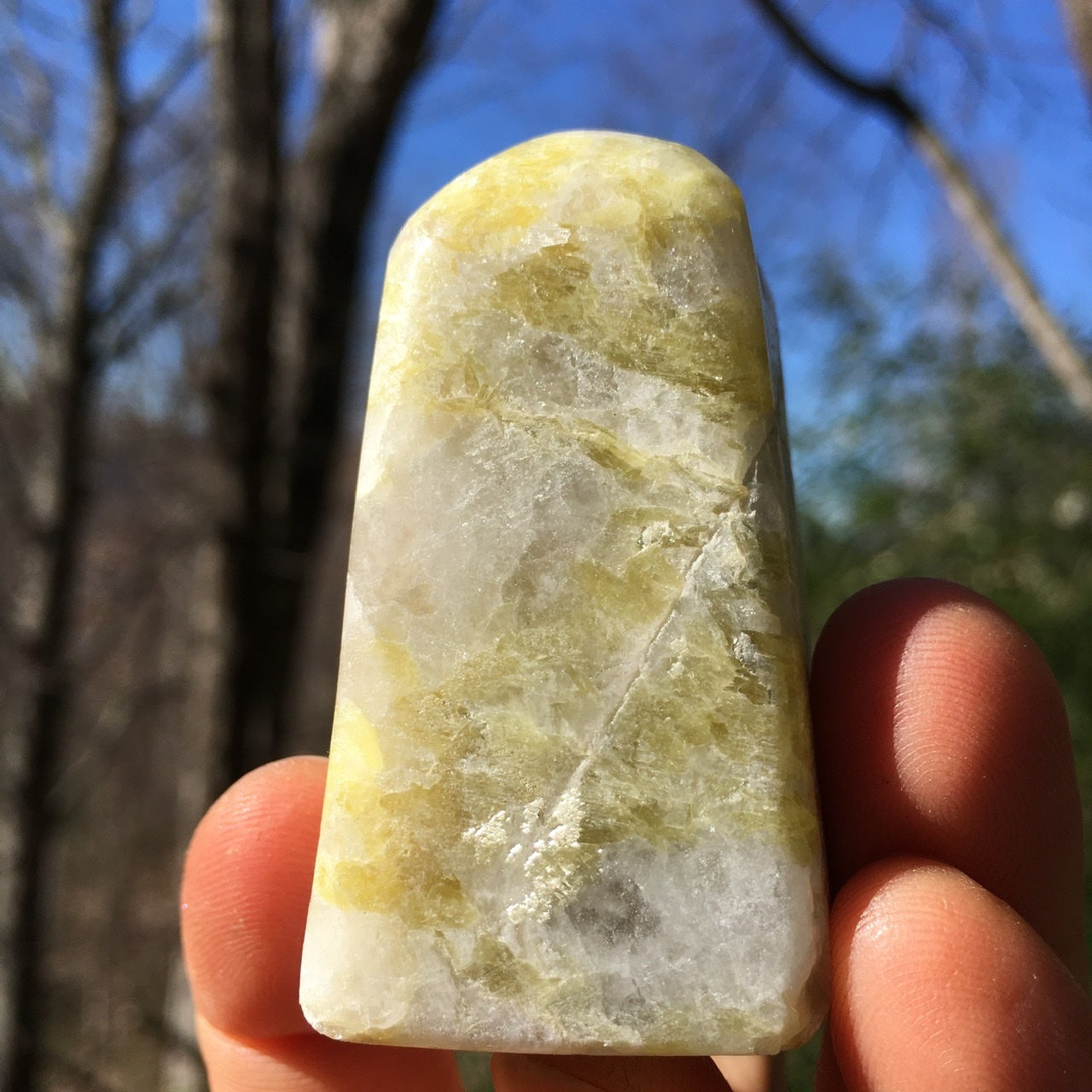 Euphoralite  (Rare Golden)  012