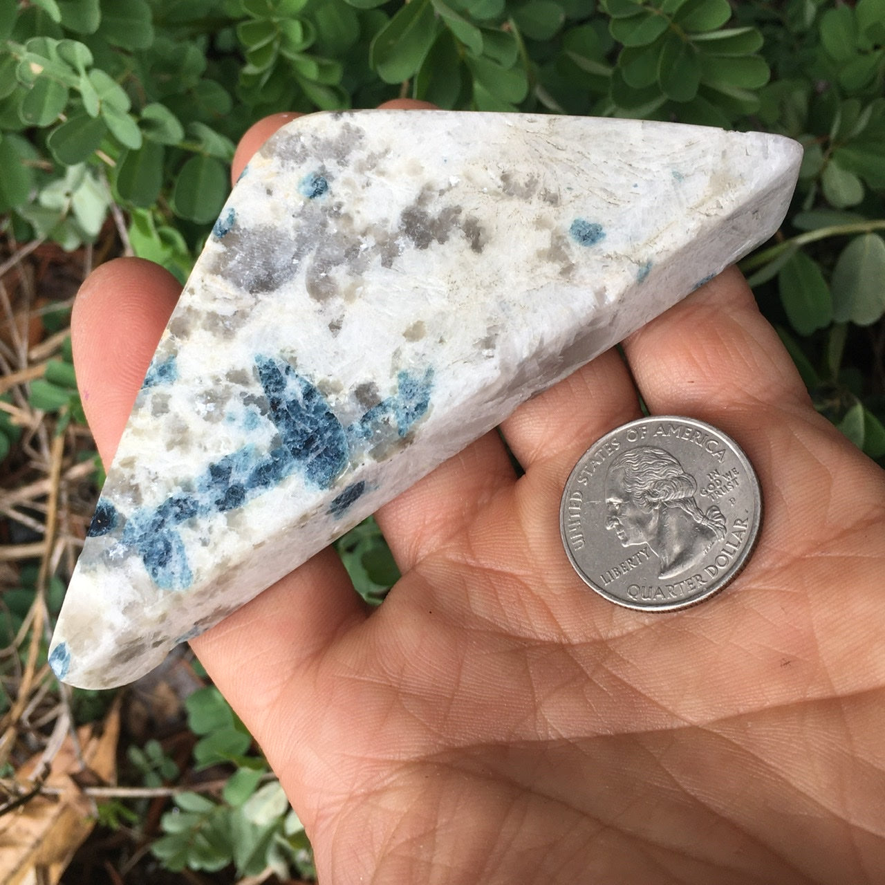 Euphoralite (Snowball) 008