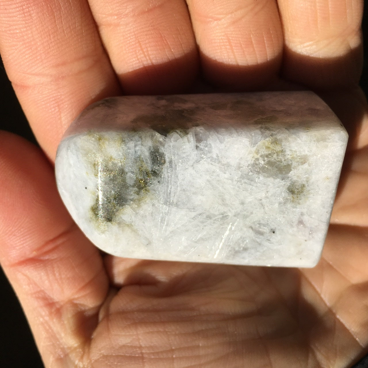 Euphoralite (Transformation) 025