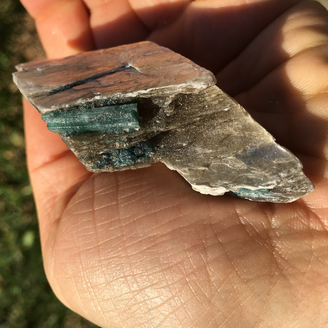 Euphoralite  (Illumination)  053