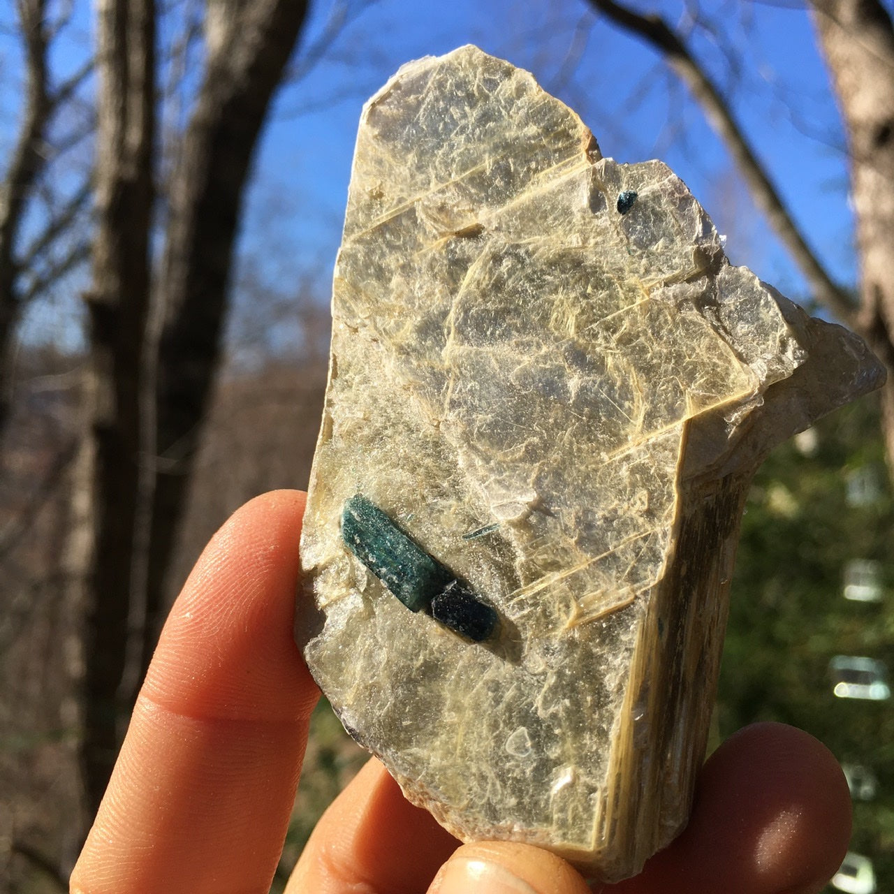 Euphoralite  (Illumination)  005