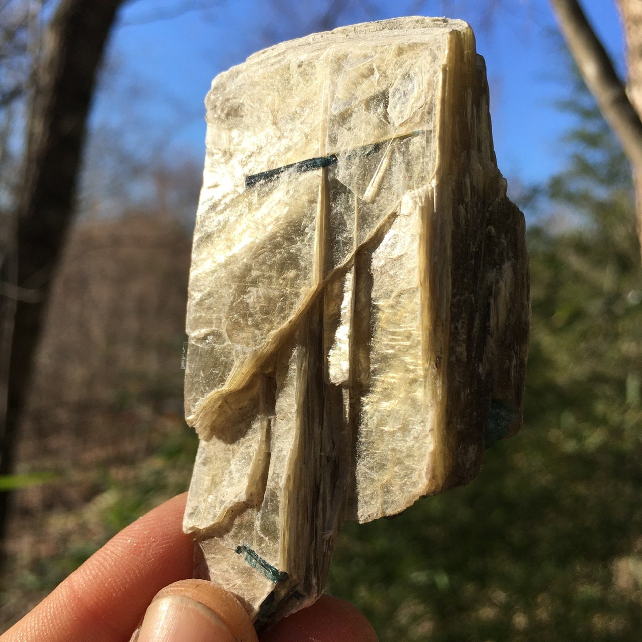 Euphoralite  (Illumination)  053
