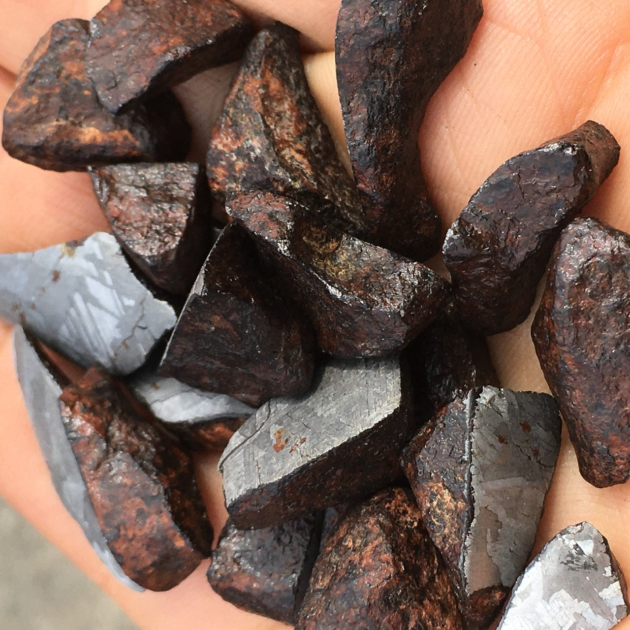 Meteorite, Half-Polished