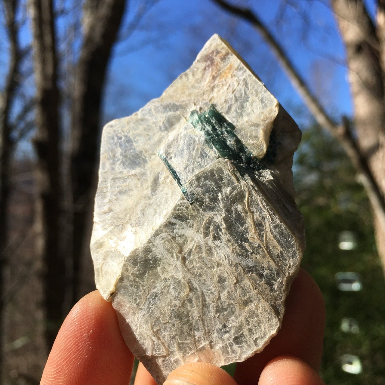 Euphoralite  (Illumination)  006