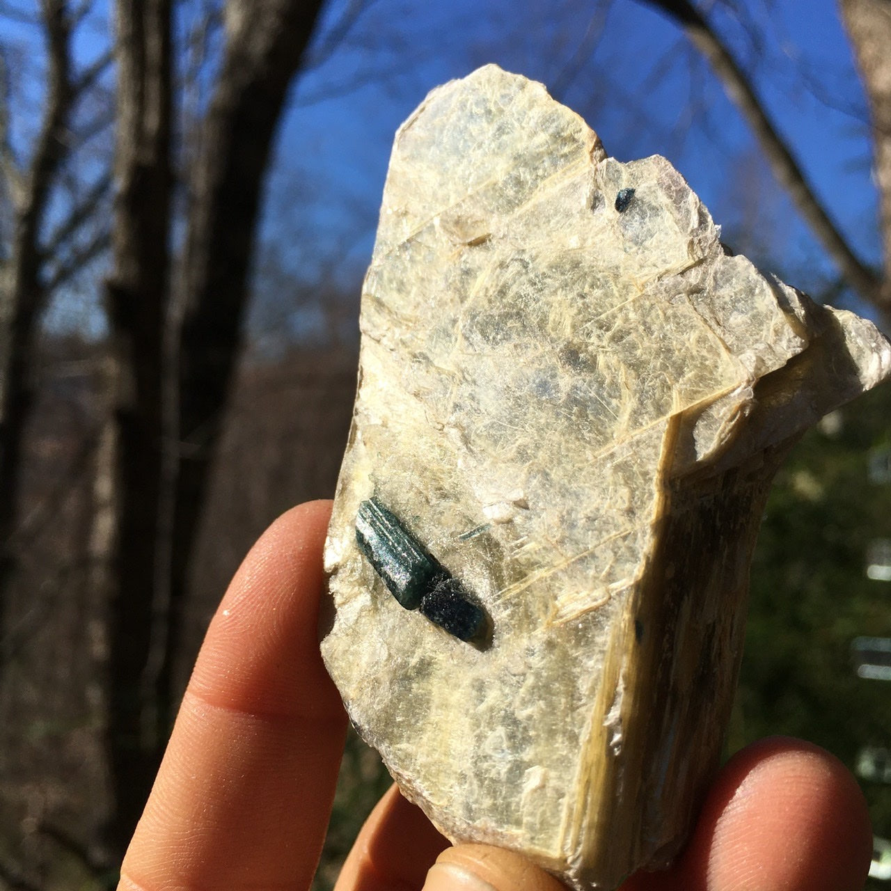 Euphoralite  (Illumination)  005