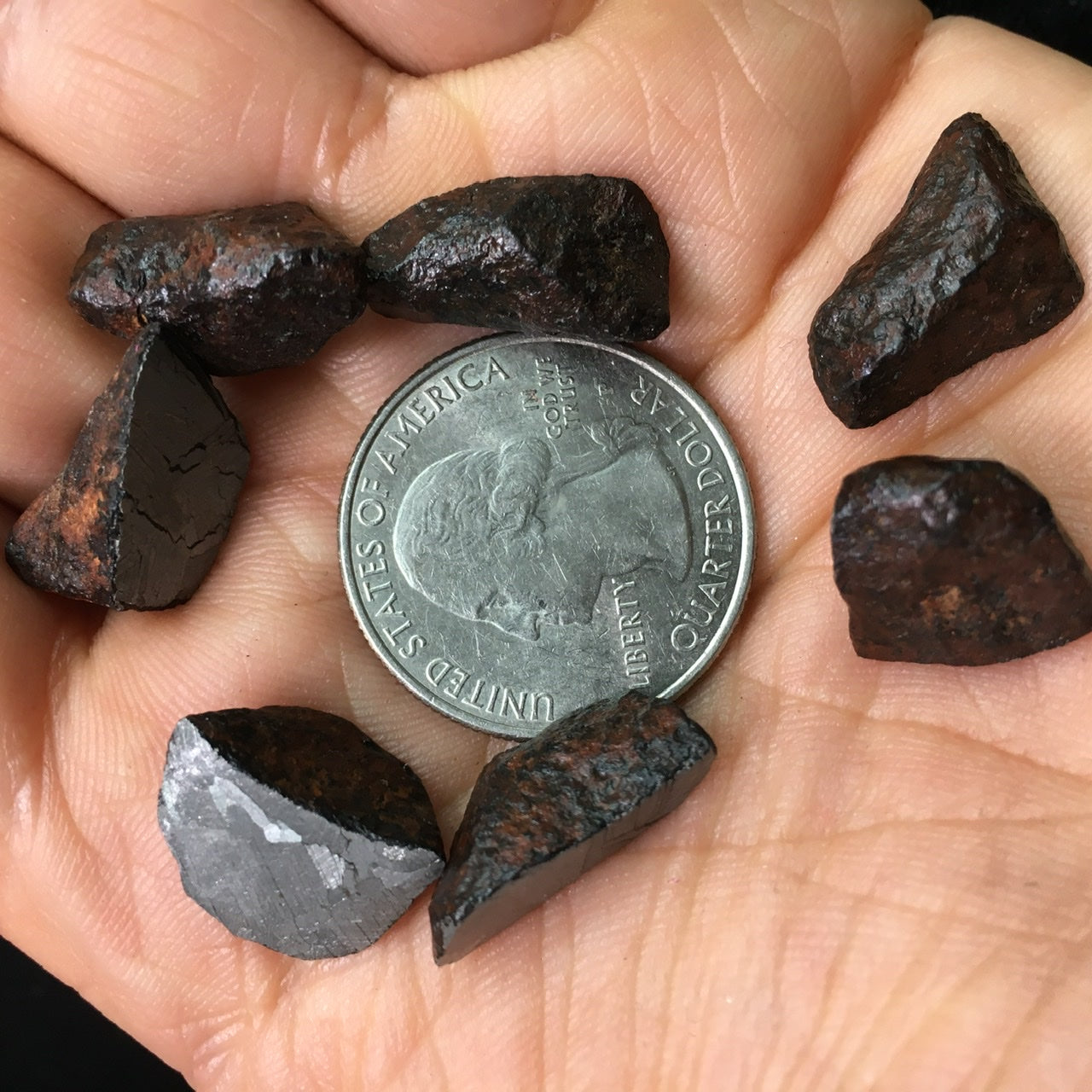 Meteorite, Half-Polished