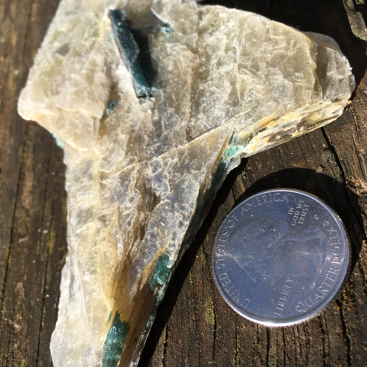 Euphoralite  (Illumination)  024