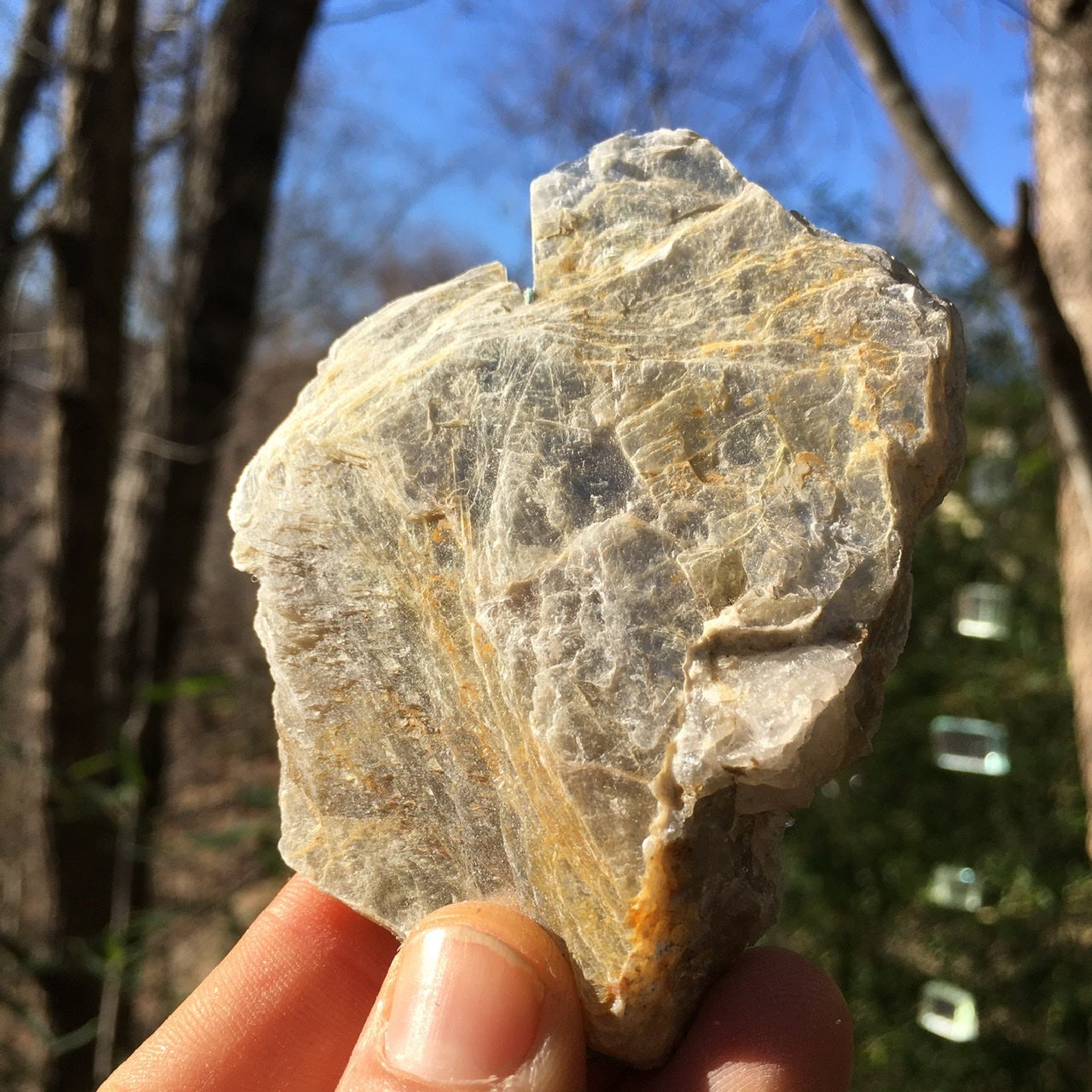 Euphoralite  (Illumination)  023