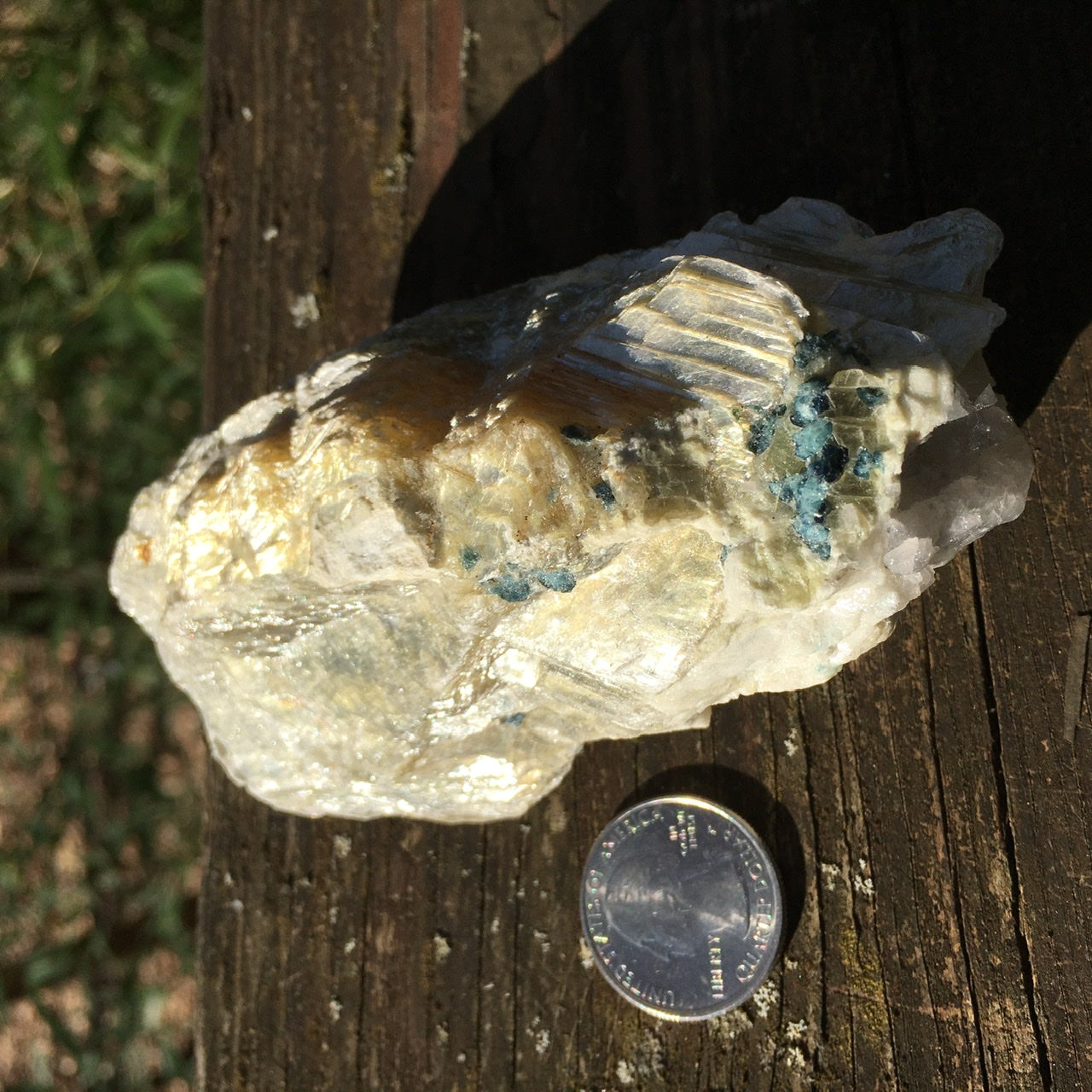 Euphoralite  (Illumination)  011