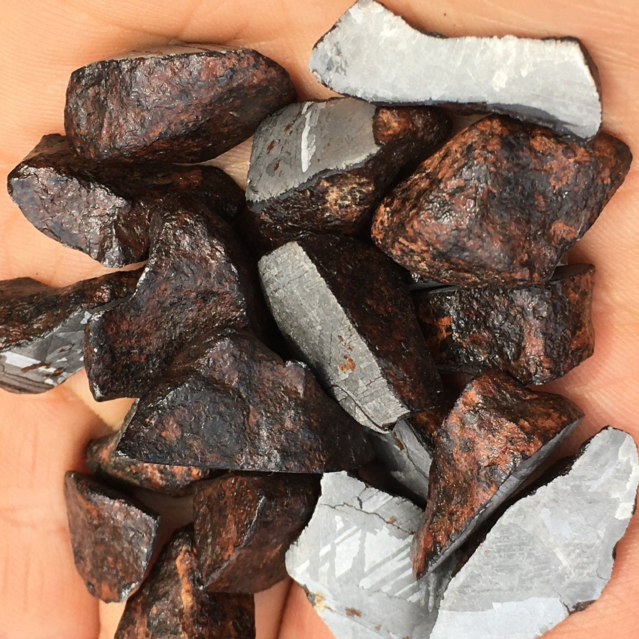 Meteorite, Half-Polished