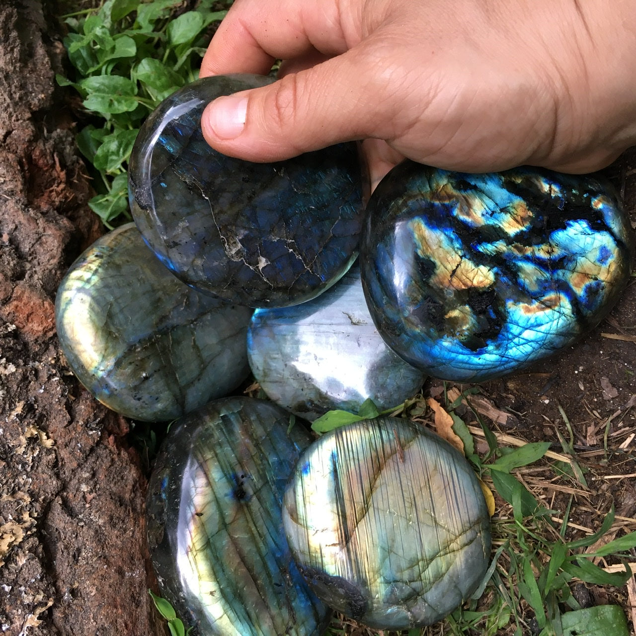 Labradorite Palm Stone Pair