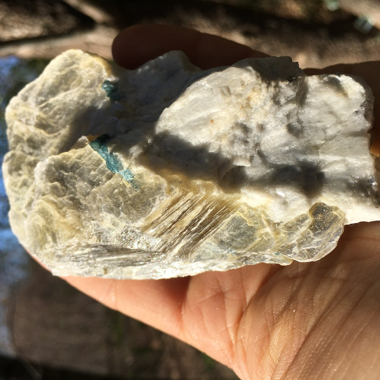 Euphoralite  (Illumination)  011