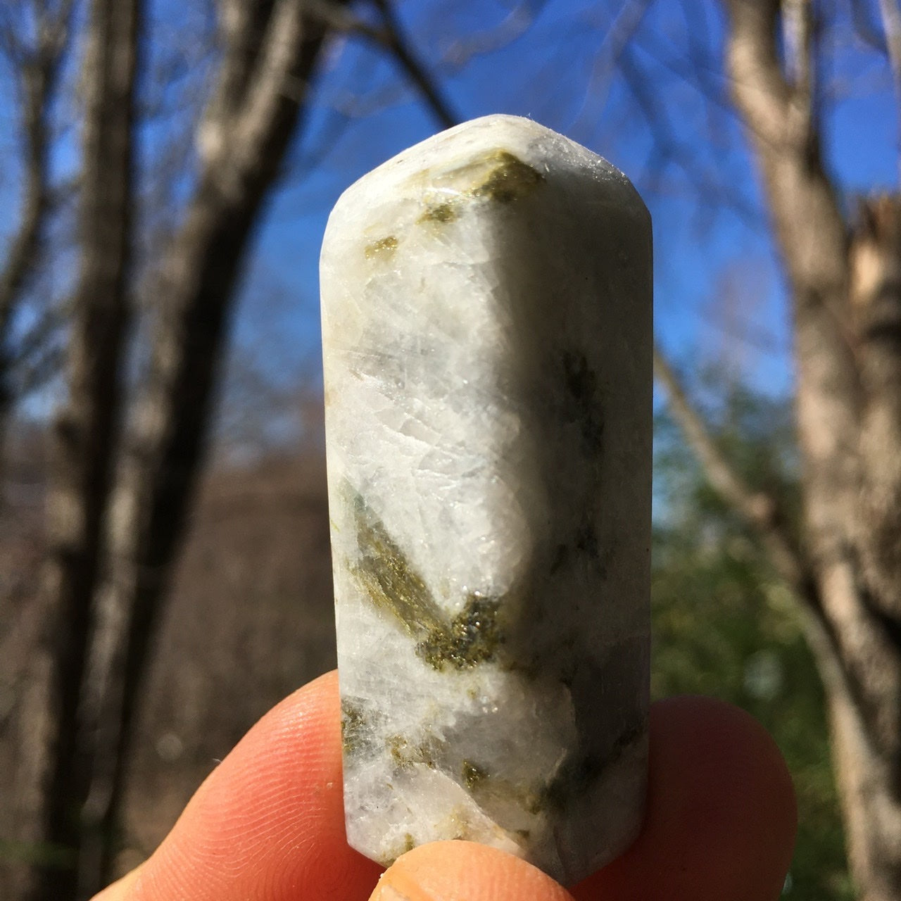 Euphoralite (Transformation) 013