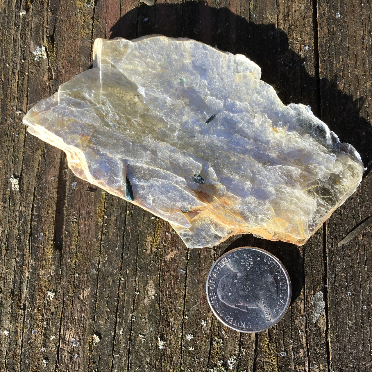Euphoralite  (Illumination)  054