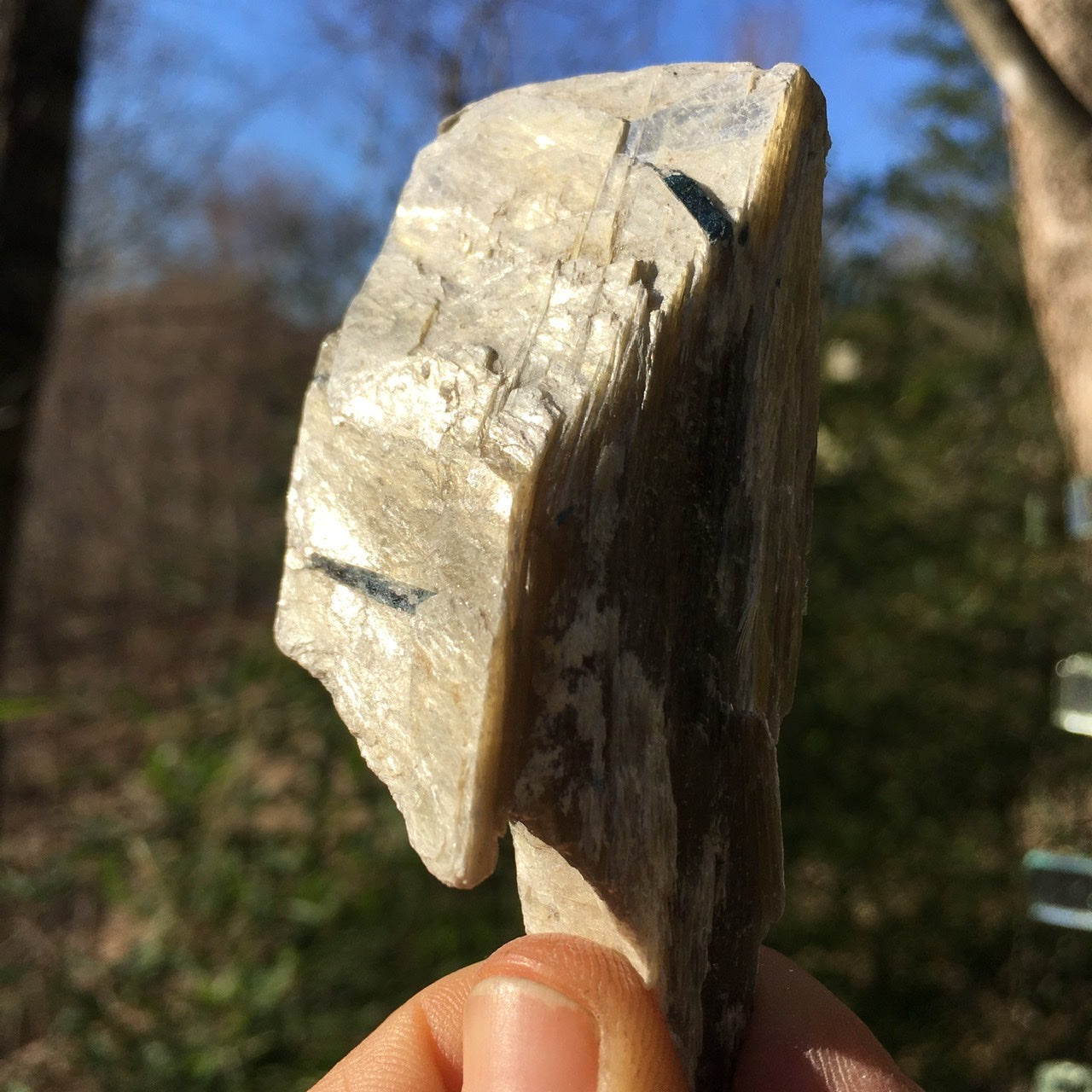 Euphoralite  (Illumination)  053