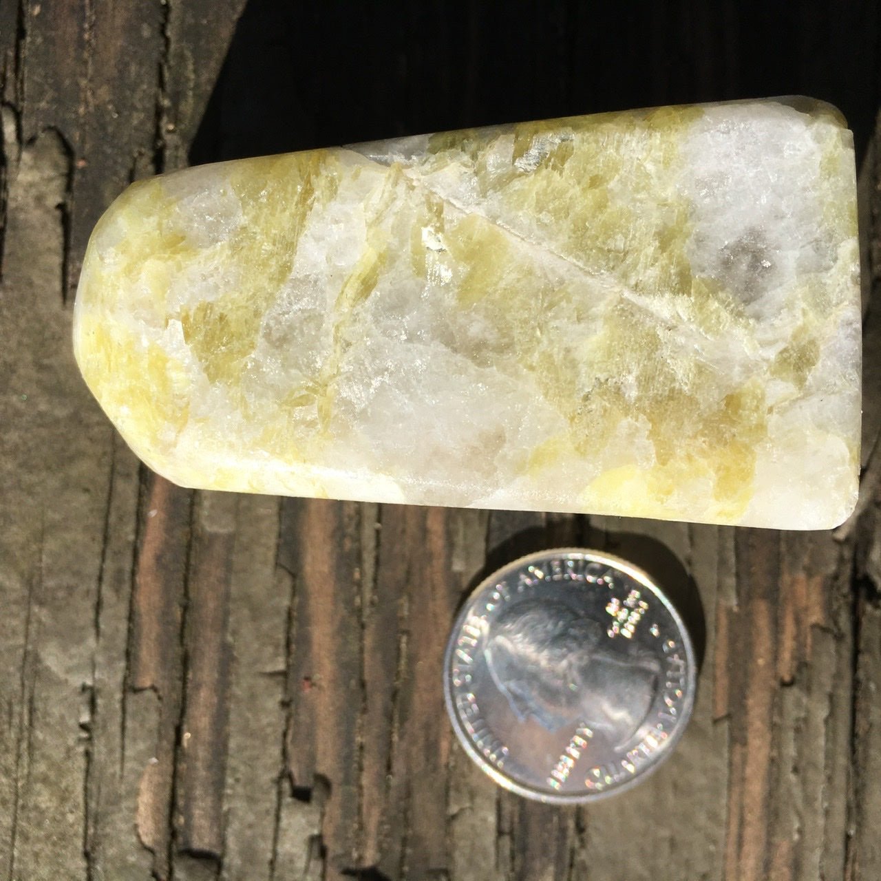 Euphoralite  (Rare Golden)  012