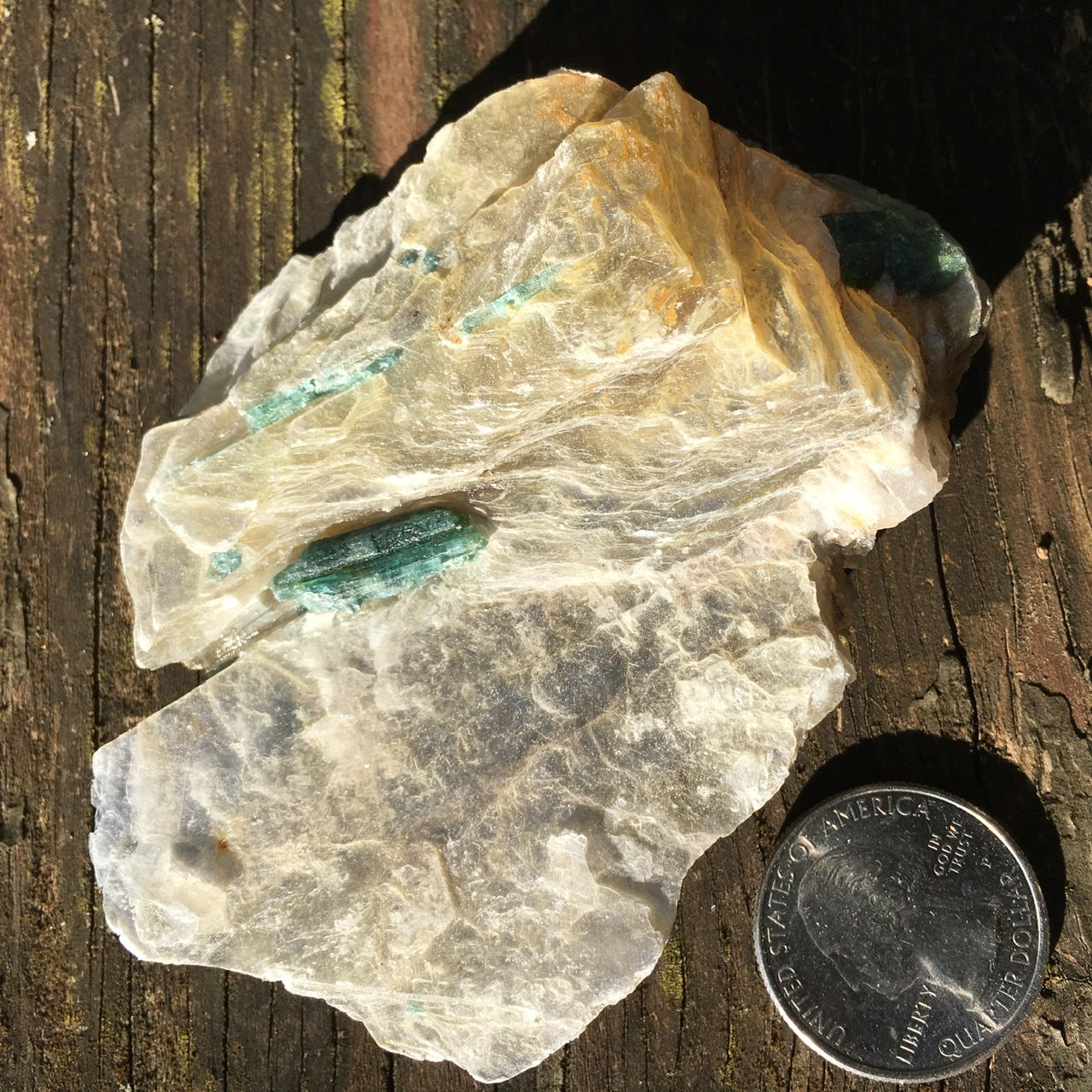 Euphoralite  (Illumination)  023