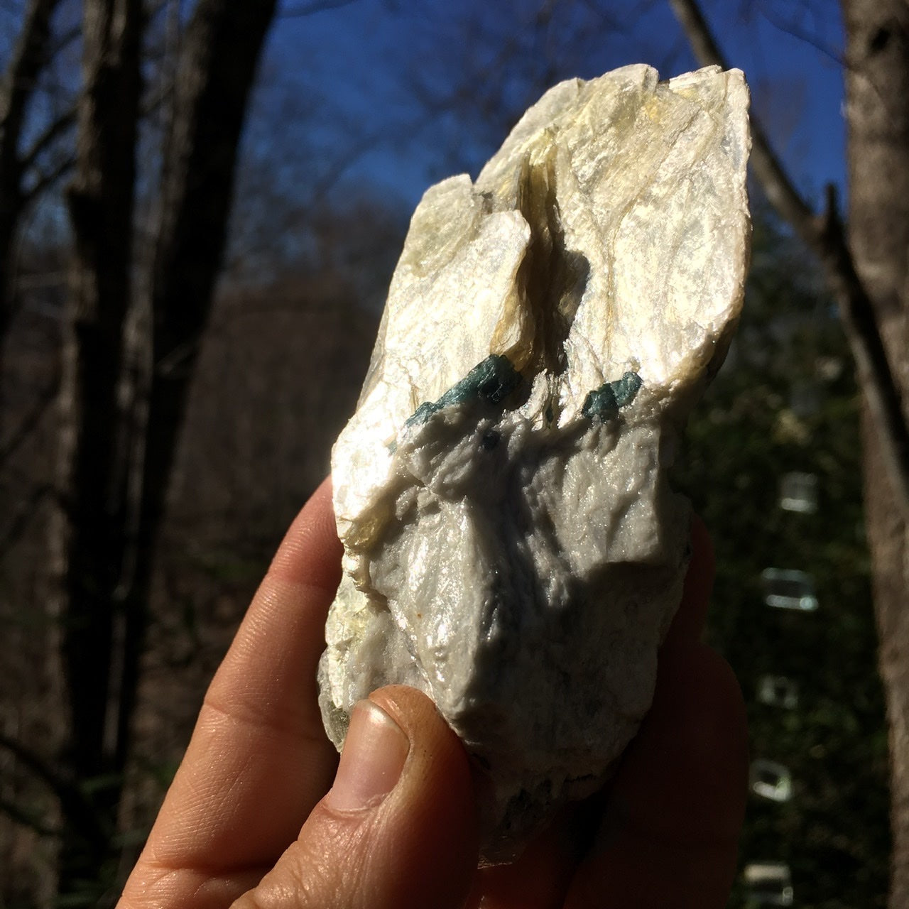 Euphoralite  (Illumination)  011