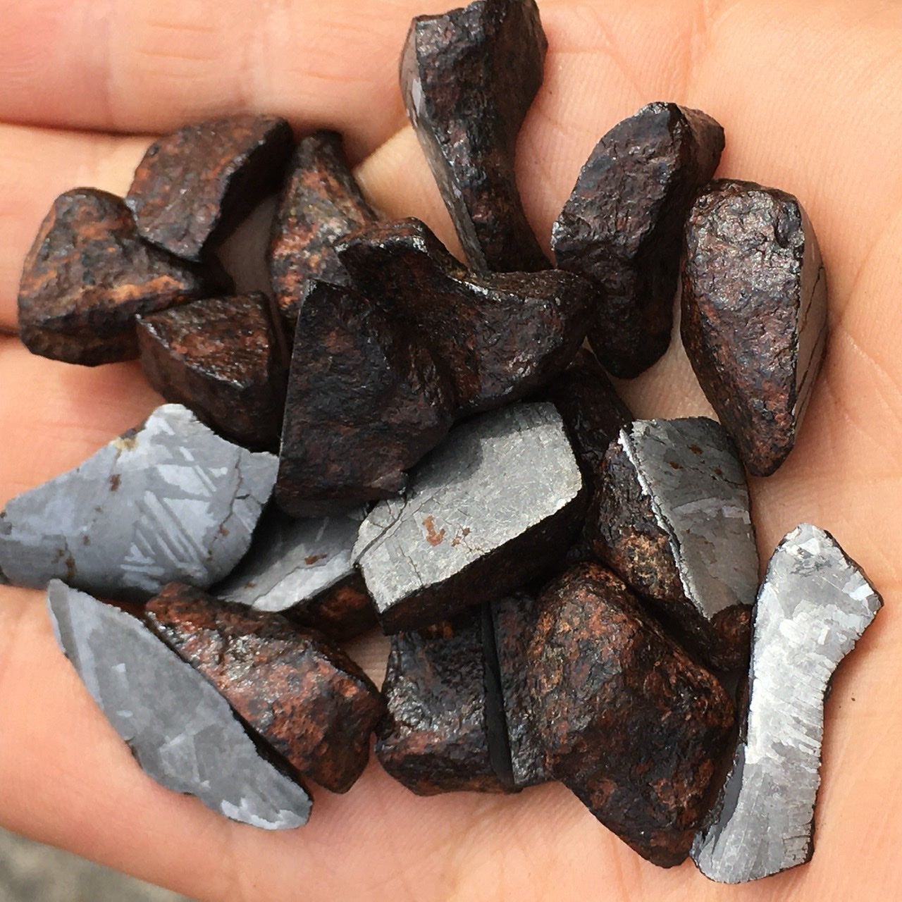Meteorite, Half-Polished
