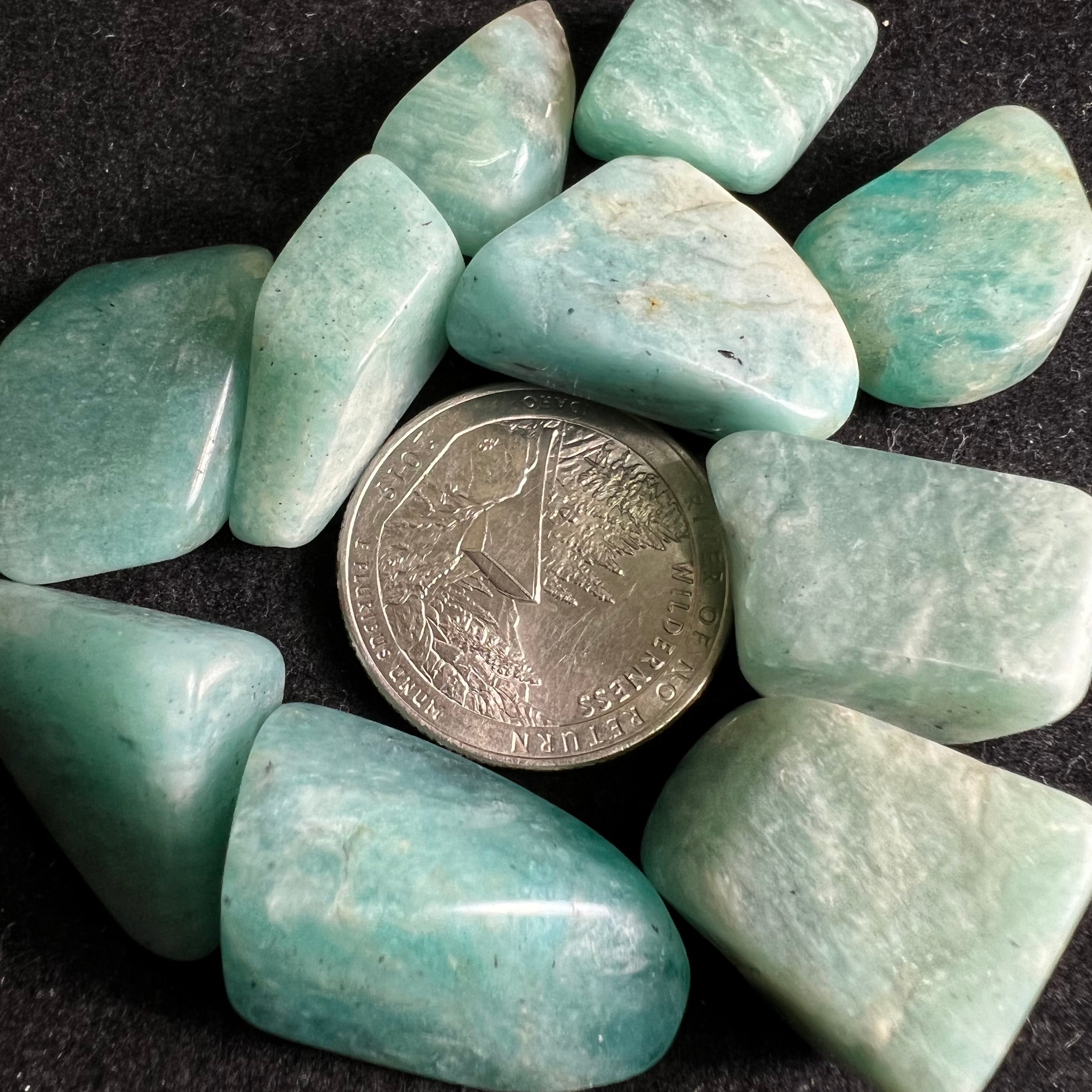 Amazonite, Kit of 10