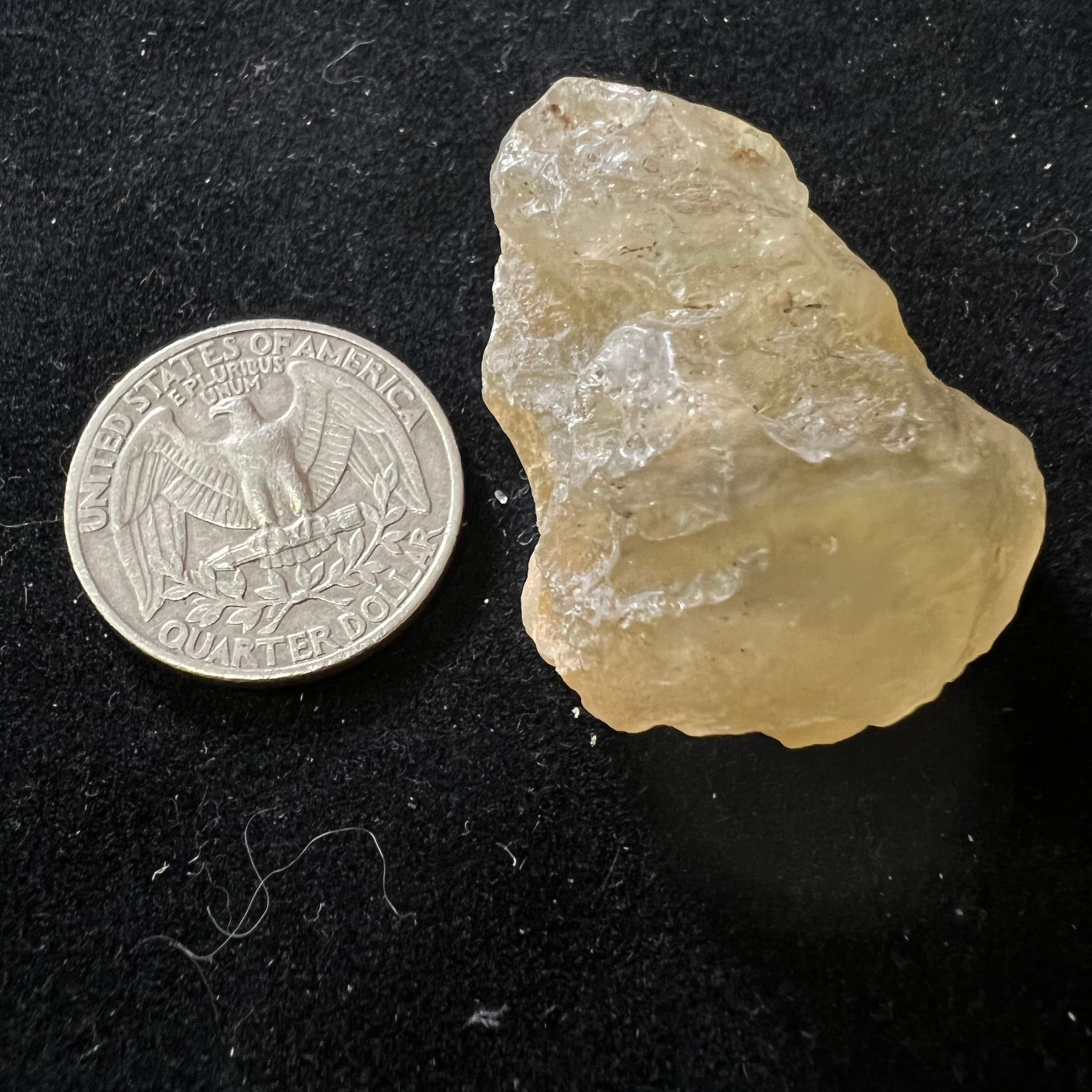 Libyan Desert Glass - 064
