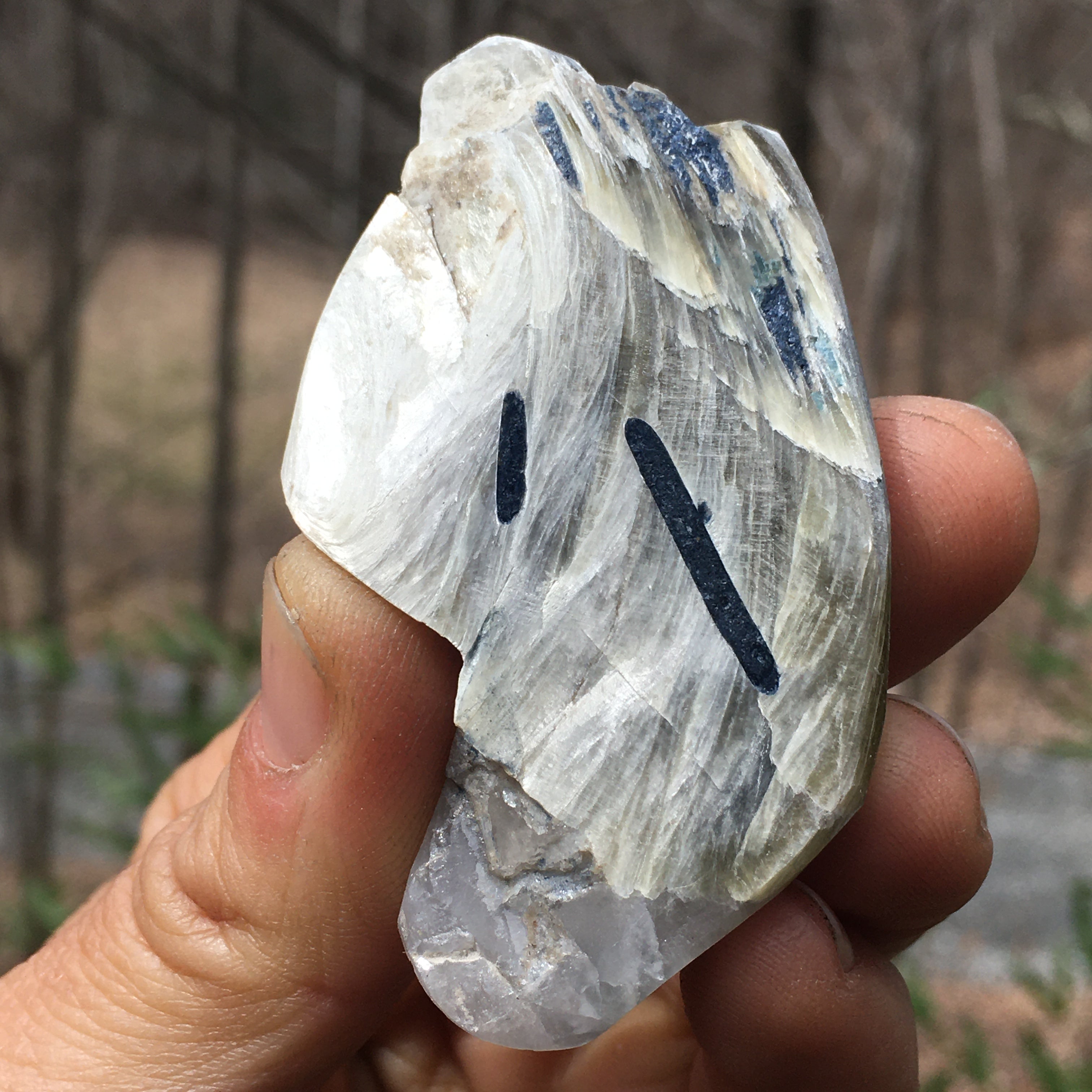Euphoralite  (Illumination)  088