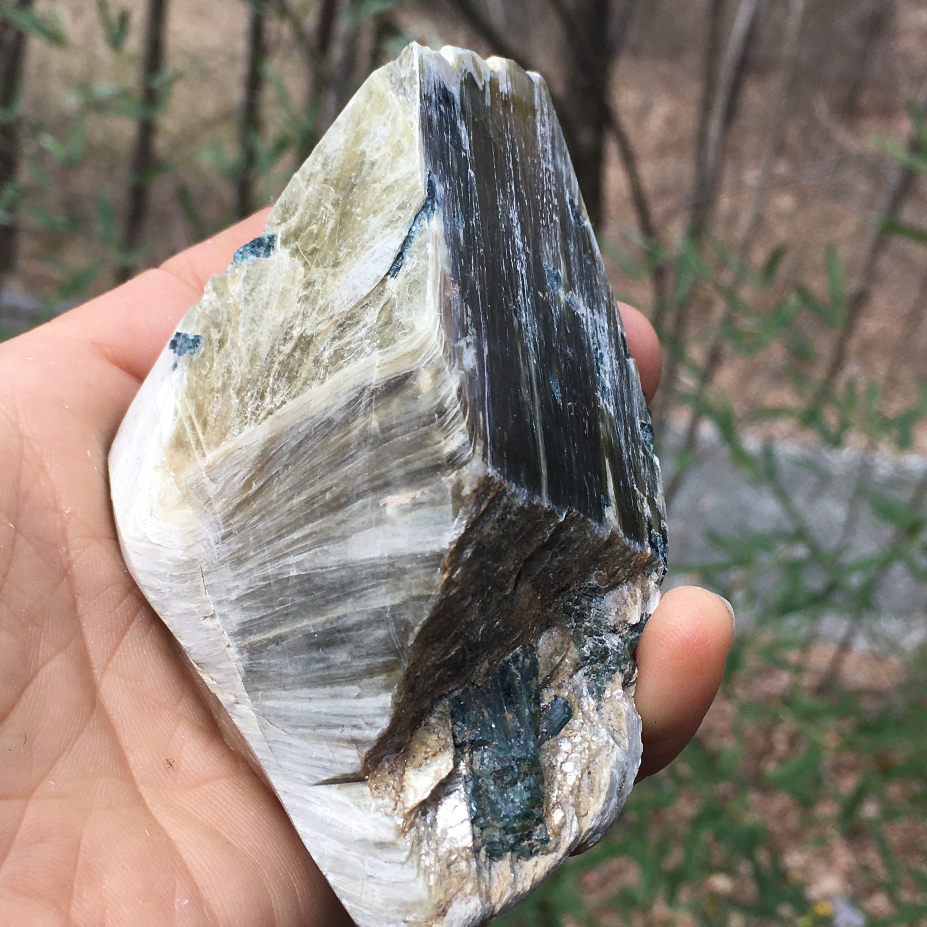 Euphoralite  (Illumination)  091