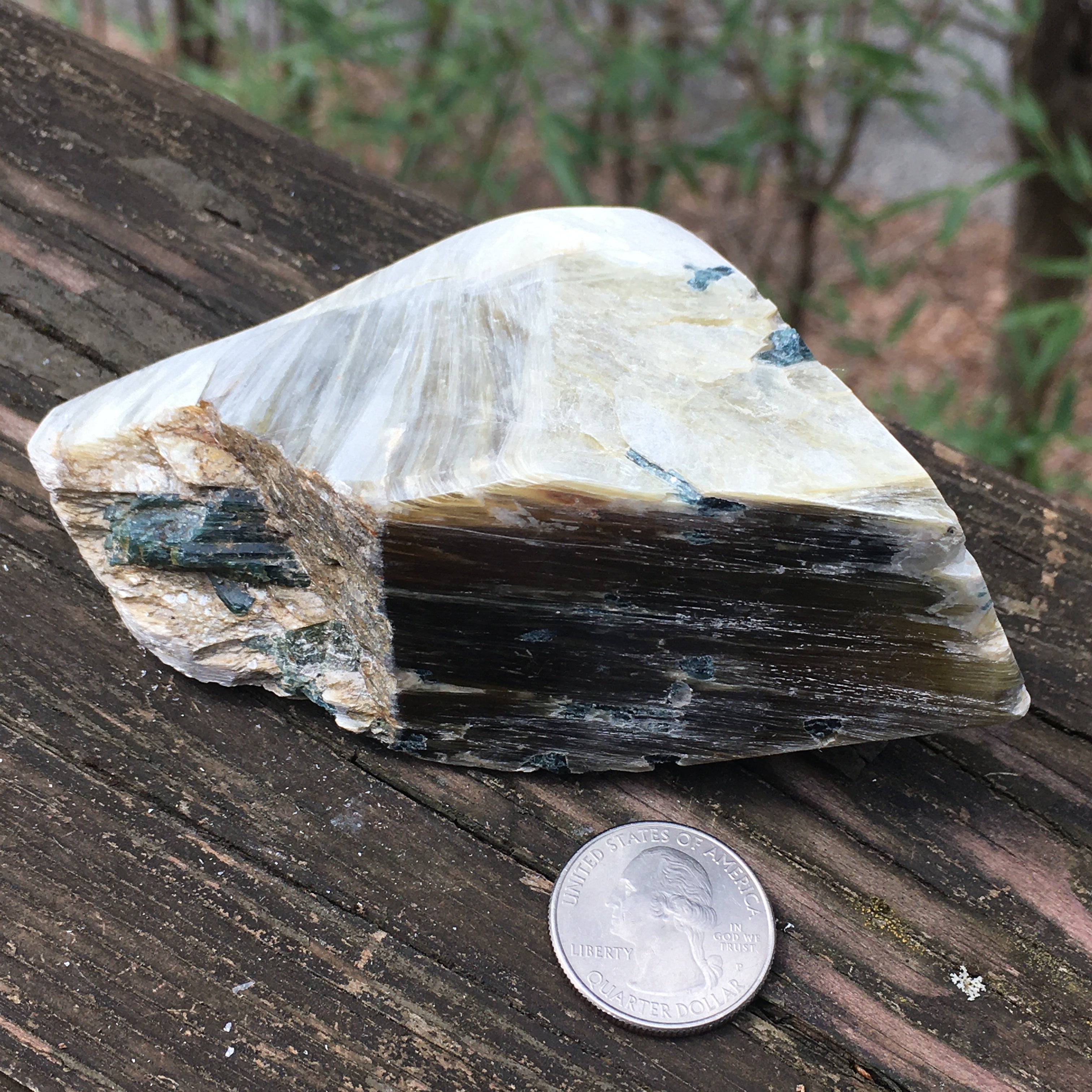 Euphoralite  (Illumination)  091