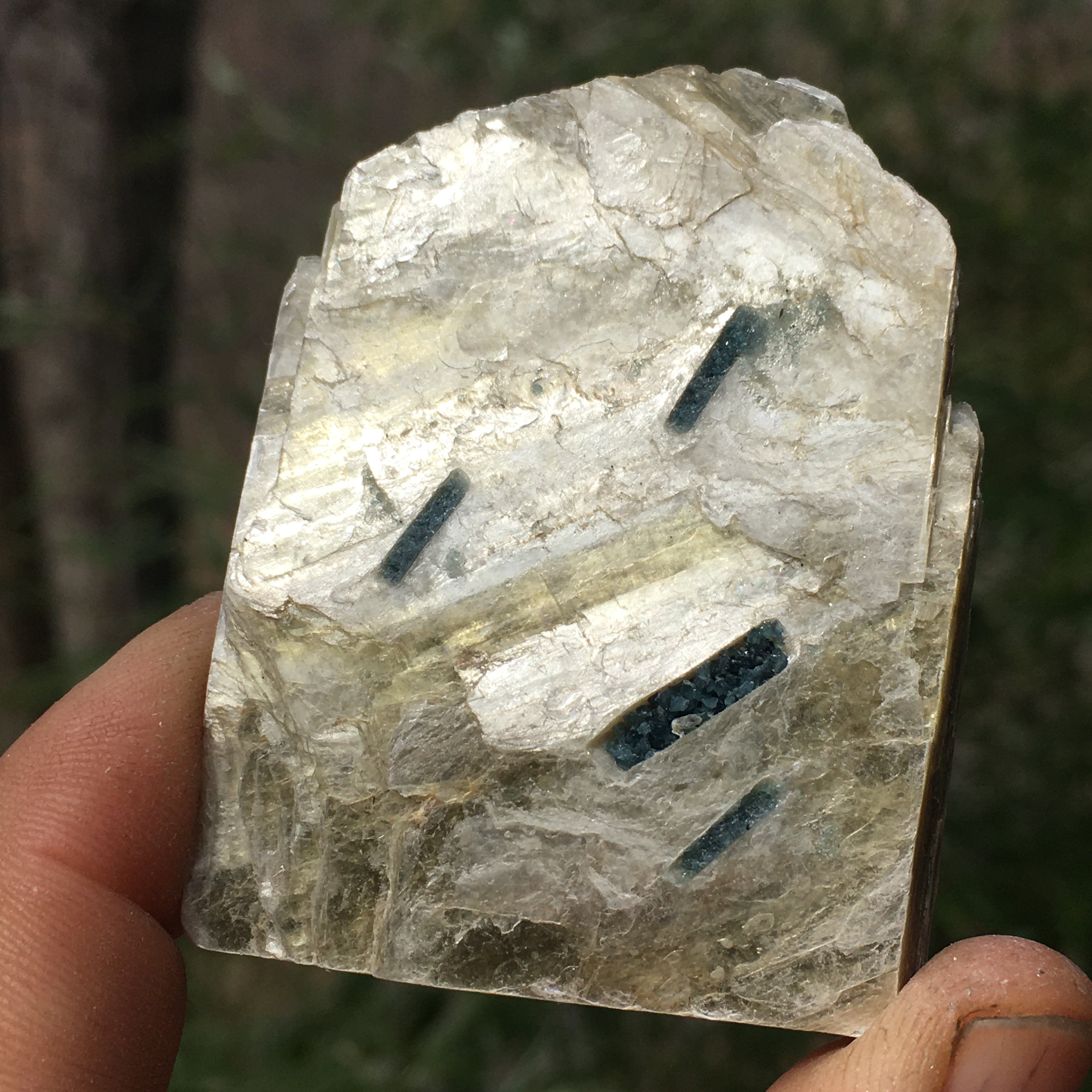 Euphoralite  (Illumination)  094
