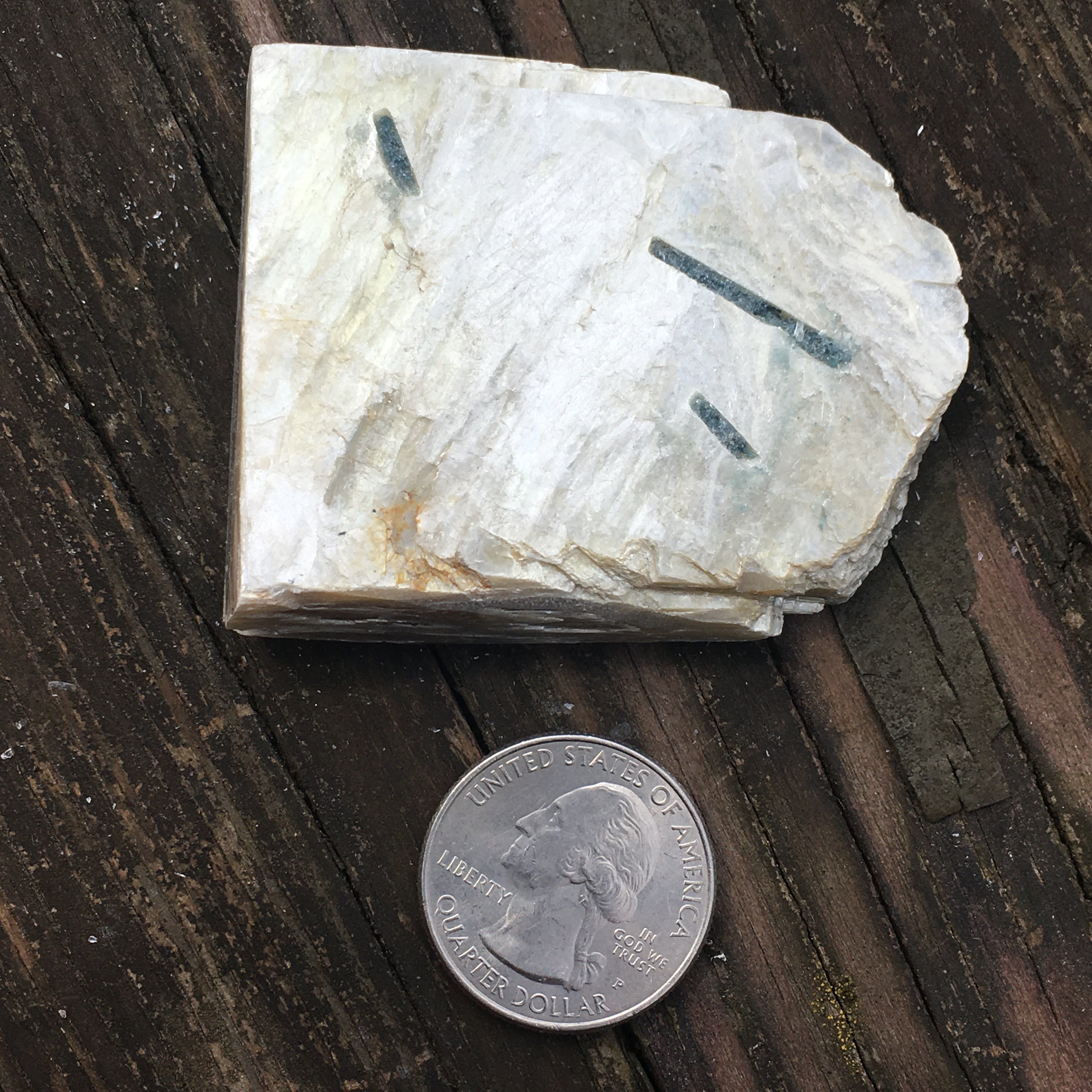 Euphoralite  (Illumination)  094