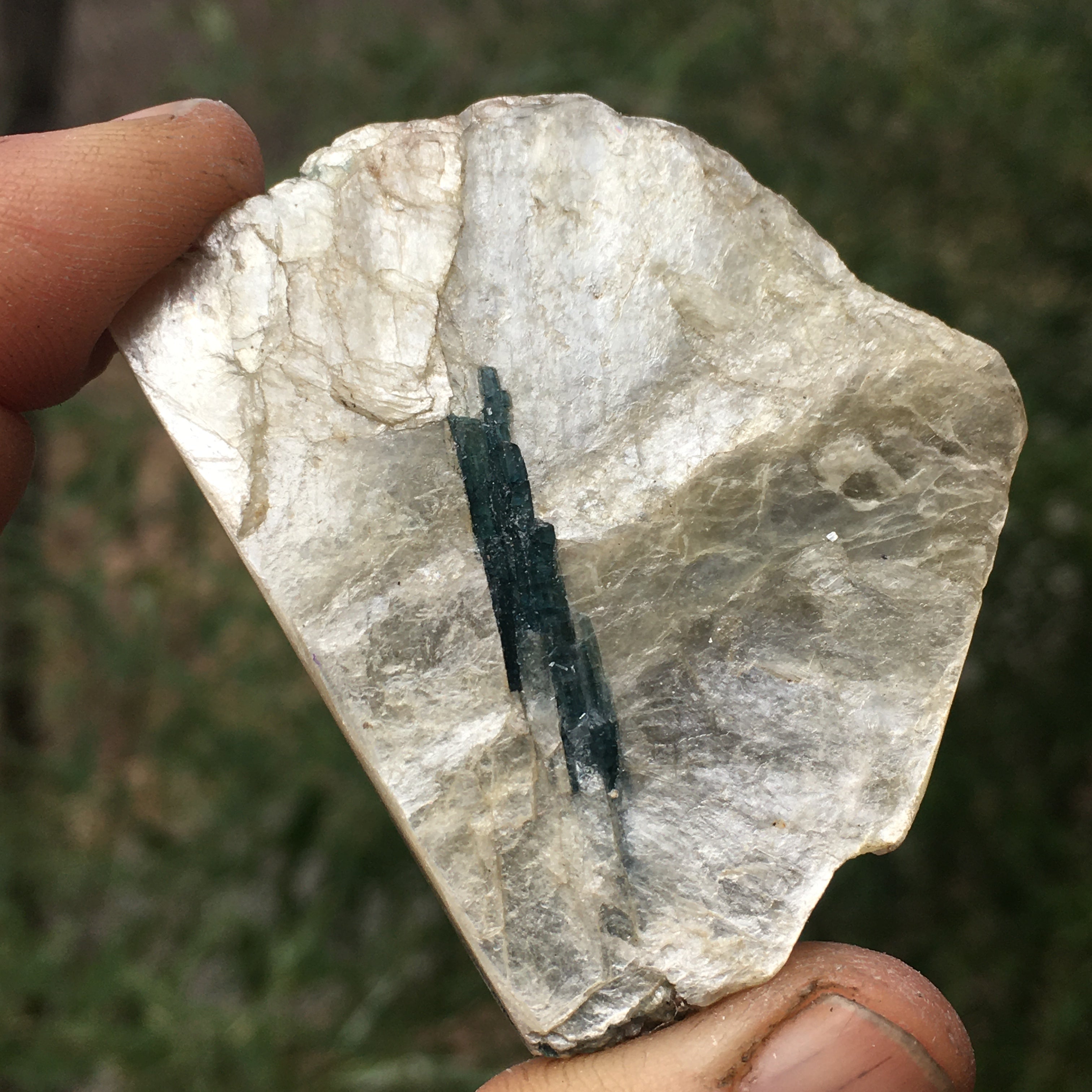 Euphoralite  (Illumination)  103