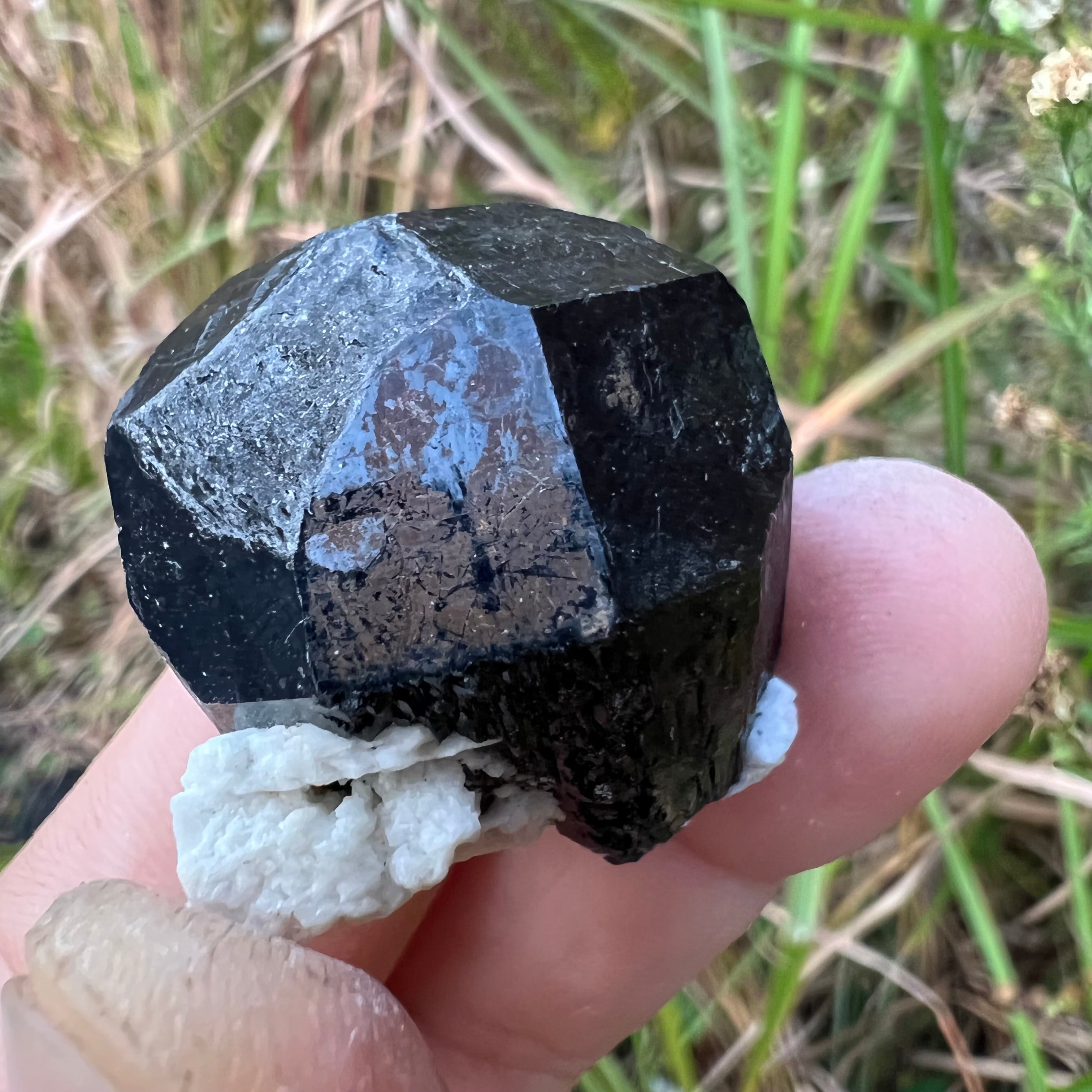 Namibian Black Tourmaline - 007