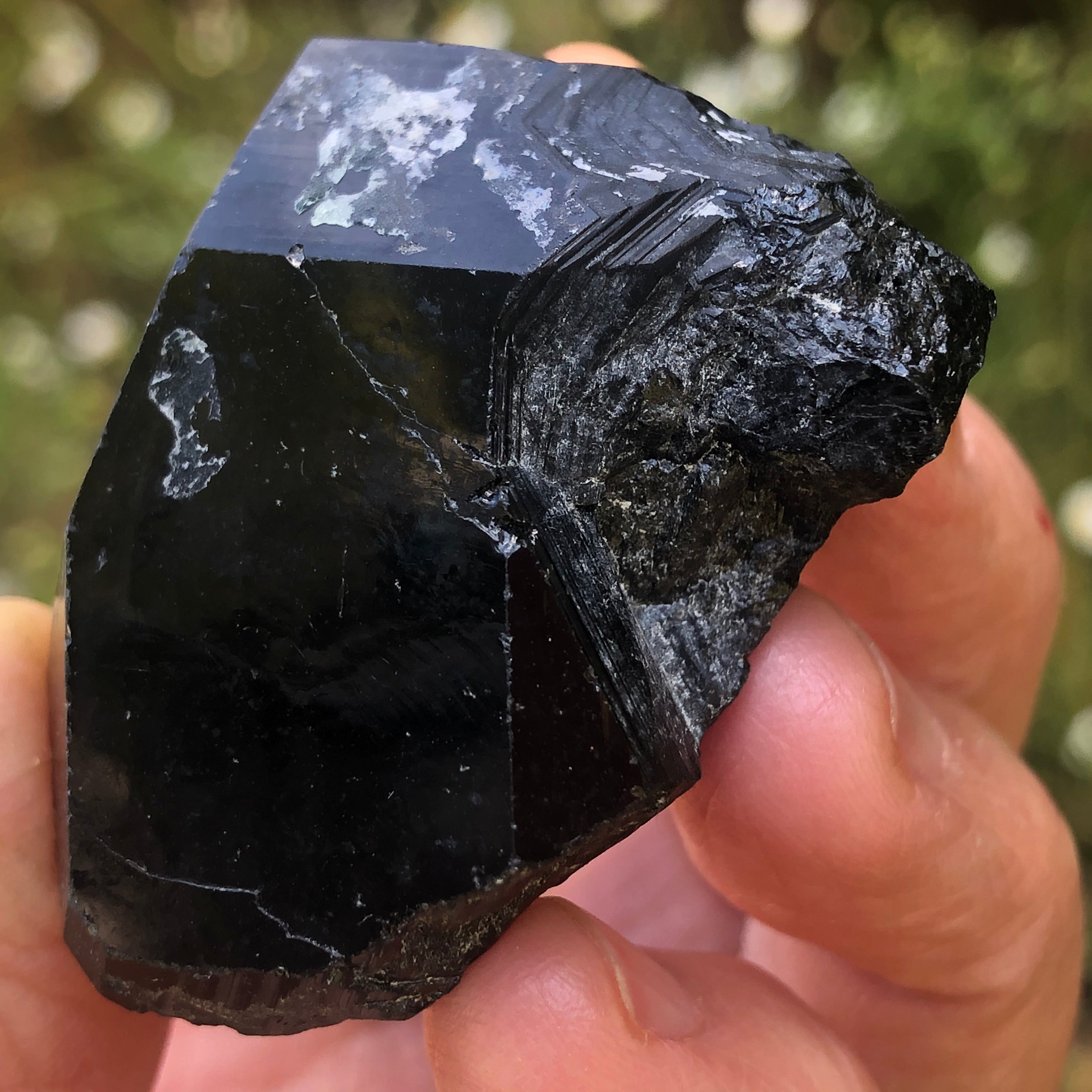 Erongo Mountain Black Tourmaline - 019