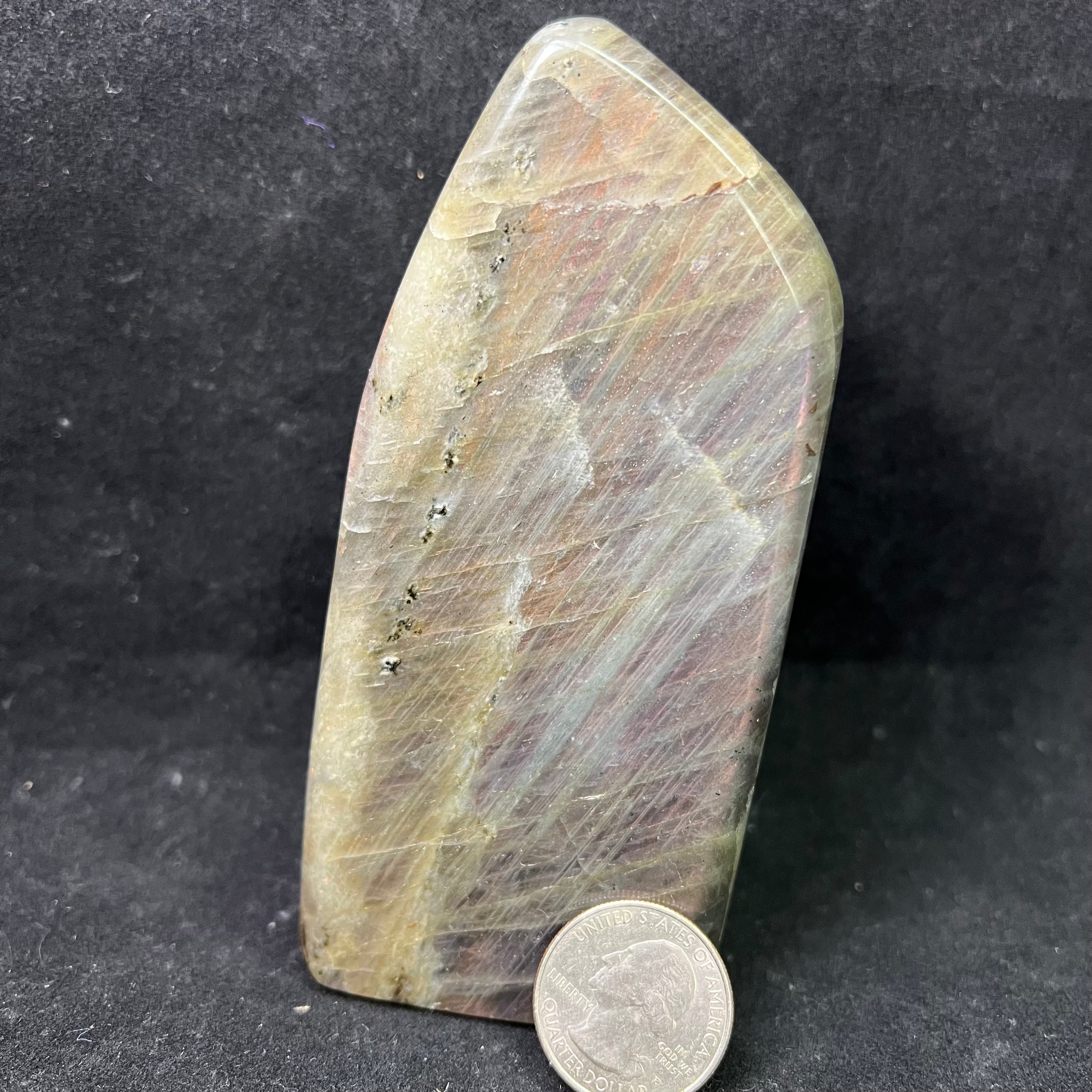 Unicorn Labradorite - 196