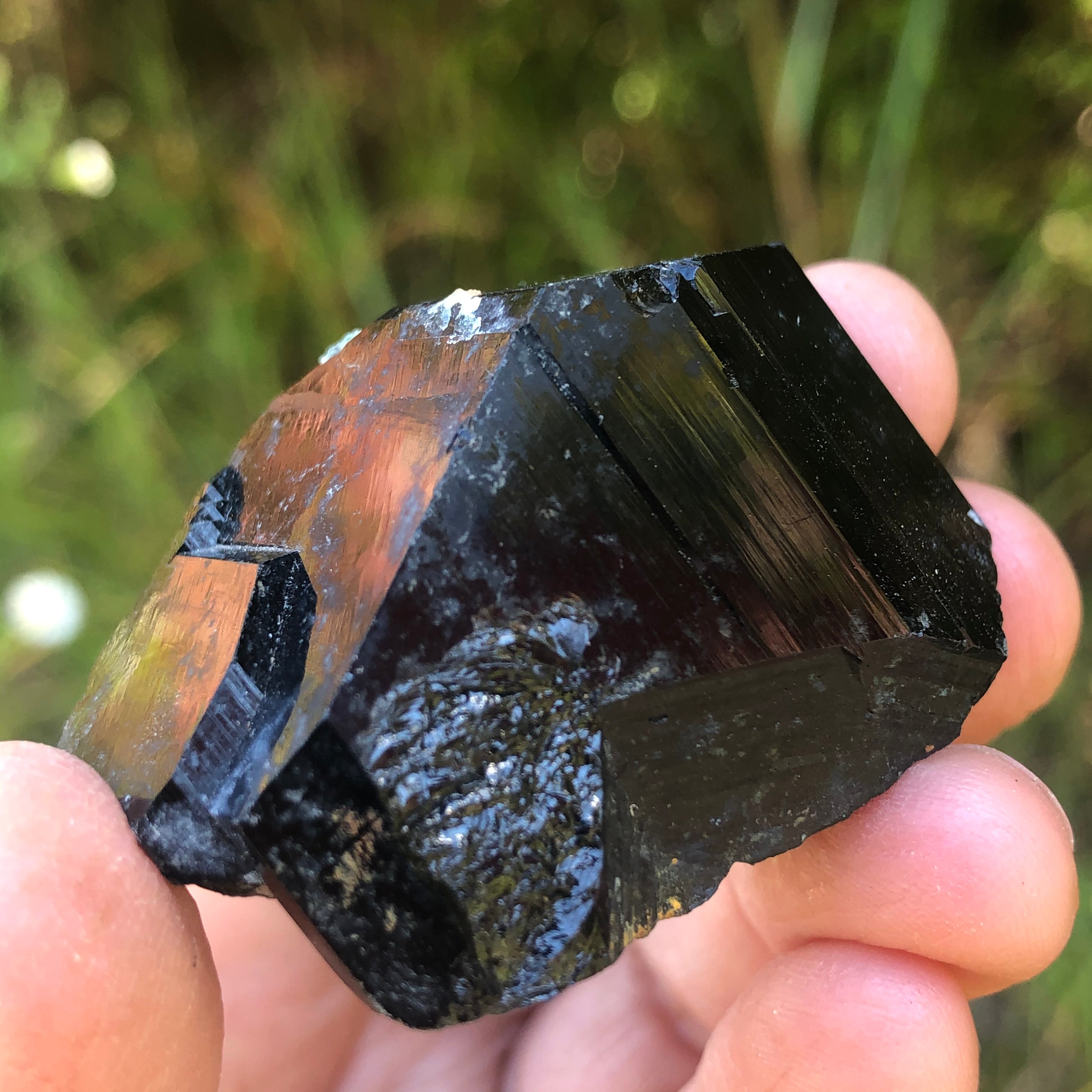 Erongo Mountain Black Tourmaline - 024
