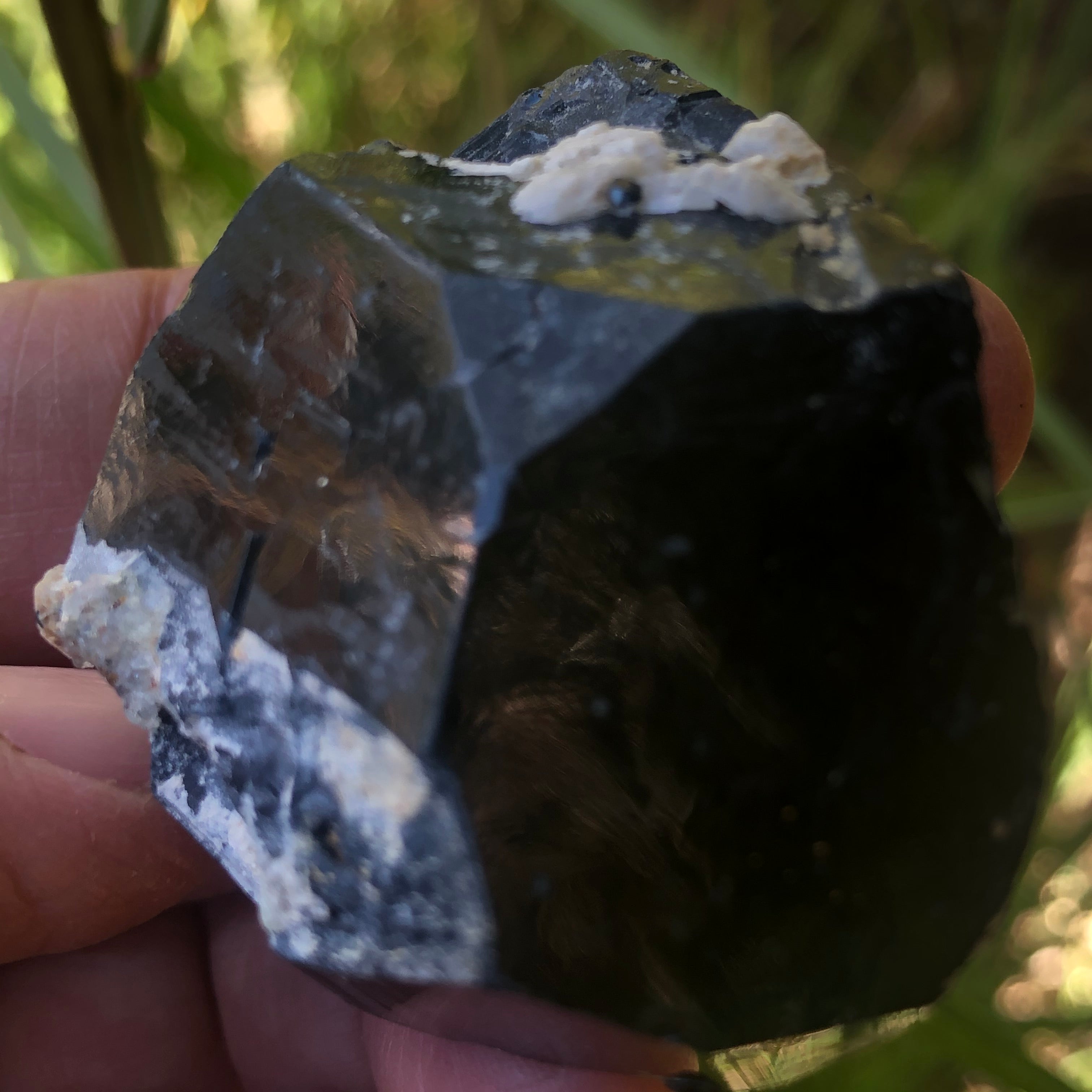 Erongo Mountain Black Tourmaline - 025