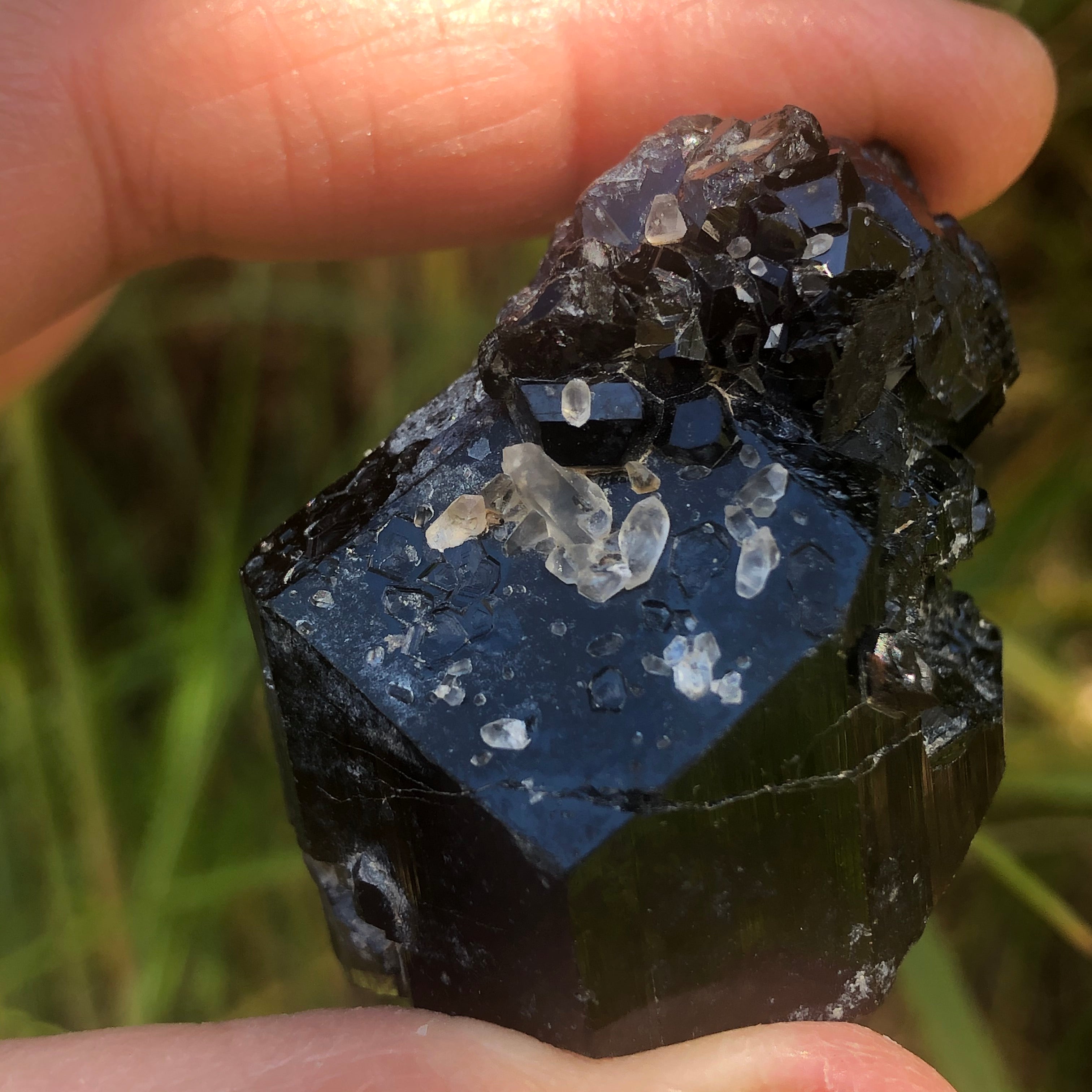 Erongo Mountain Black Tourmaline - 033
