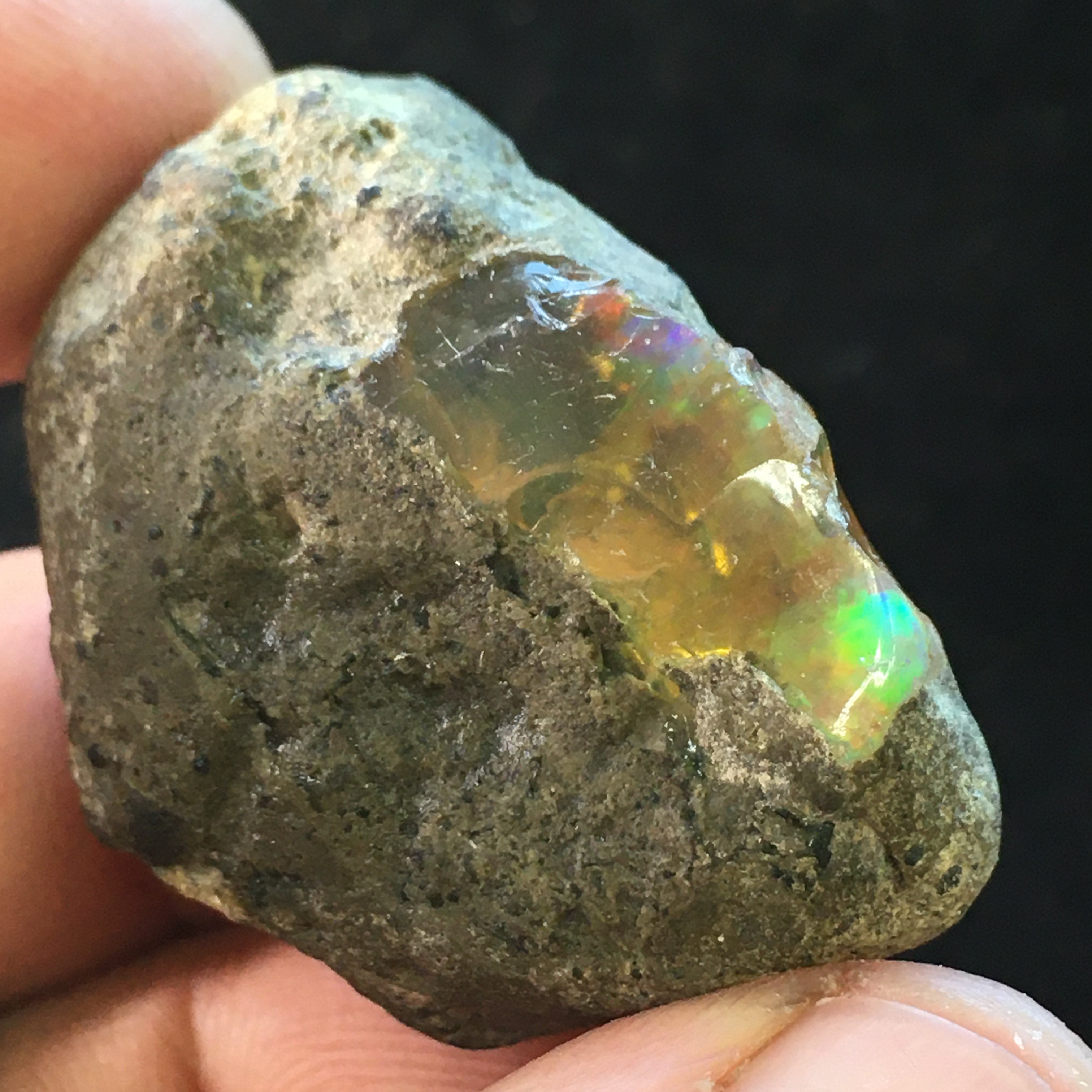 Shewa Opal - 007