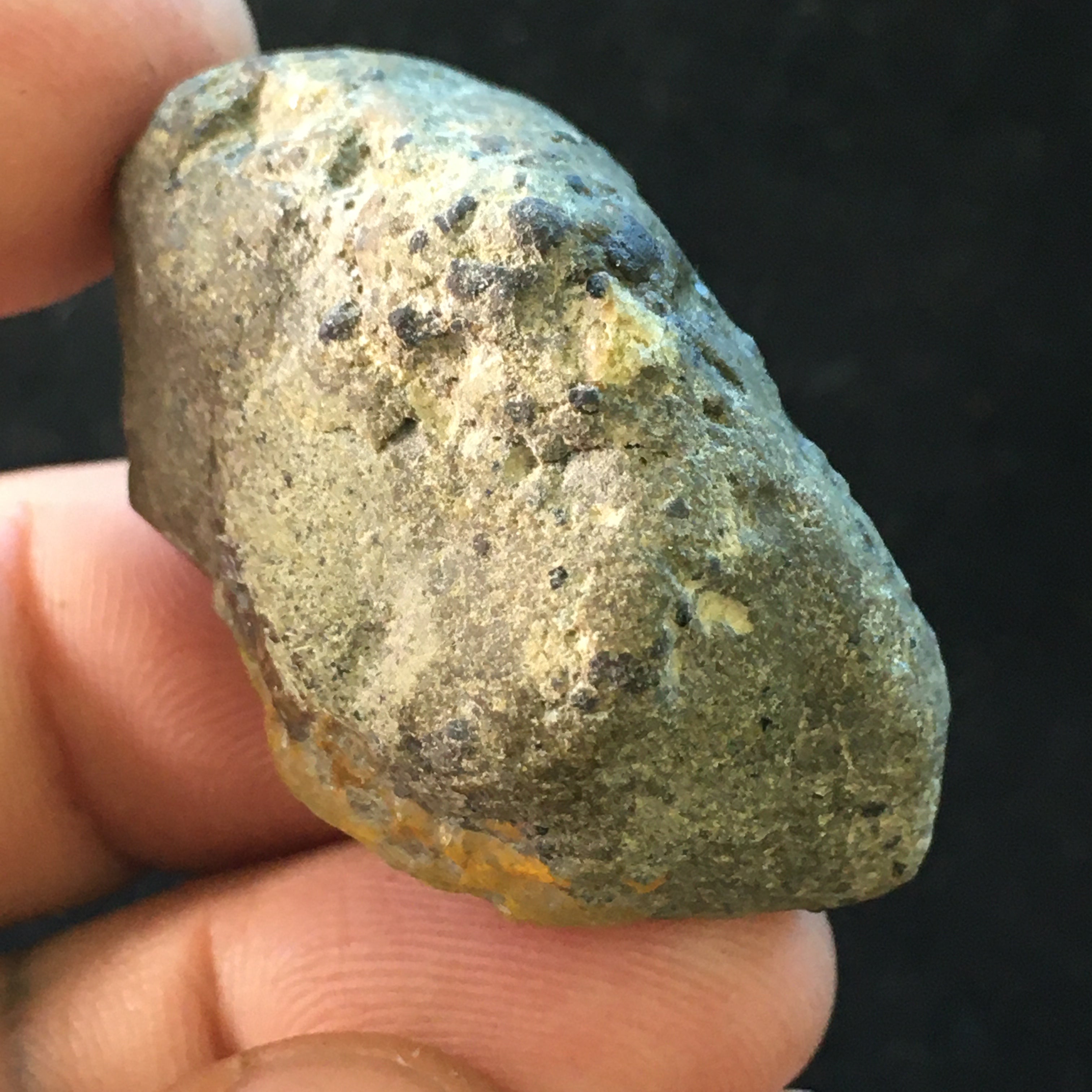 Shewa Opal - 007