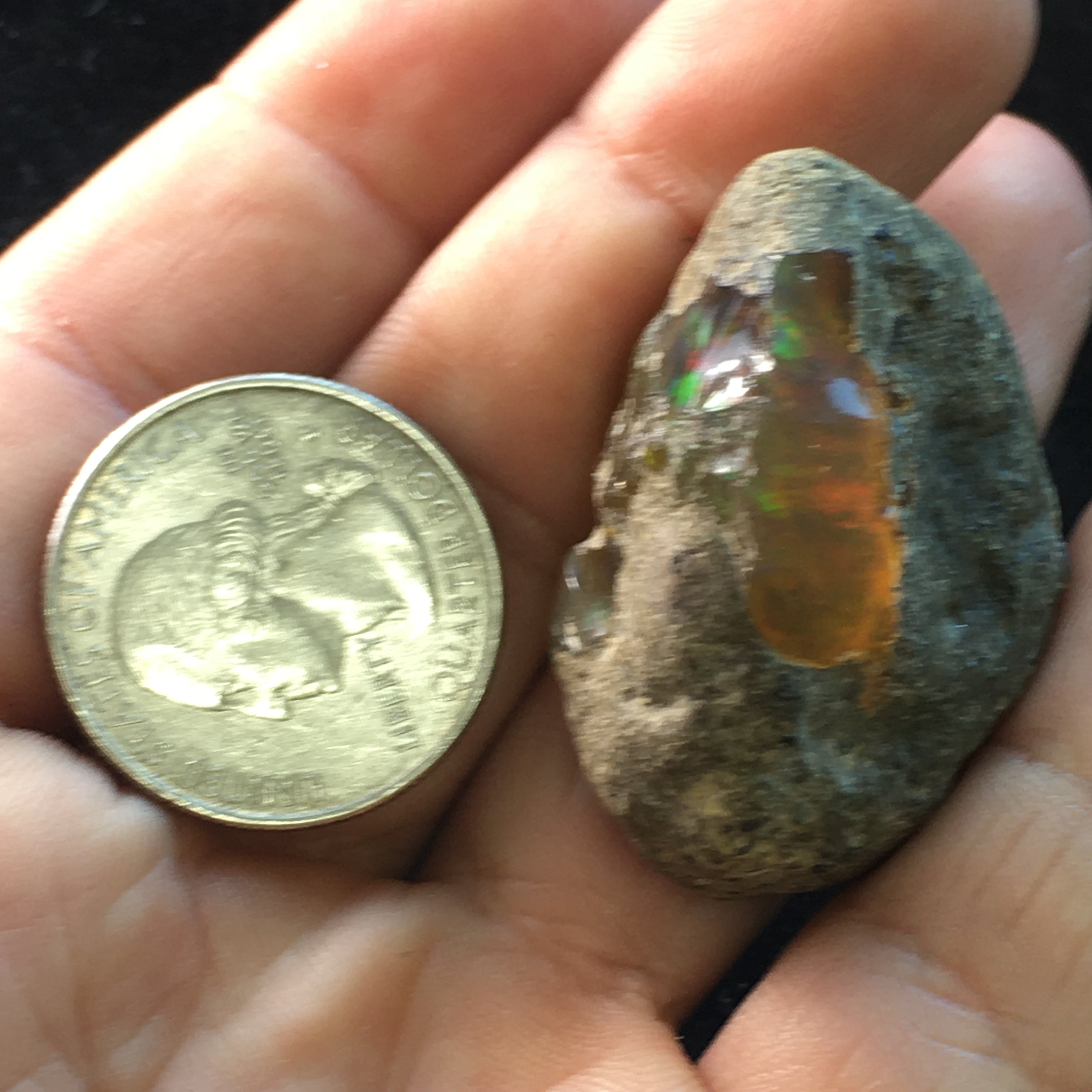 Shewa Opal - 007