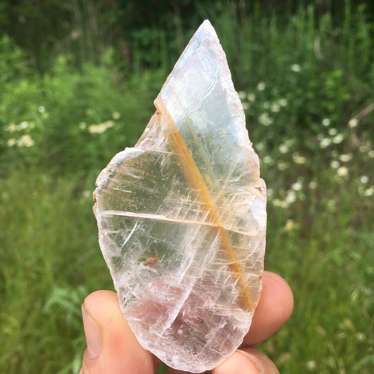 Mirror image of clear Selenite windows with golden lines.