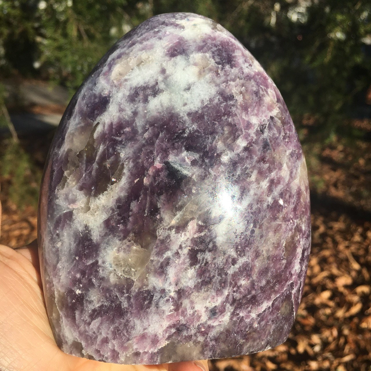 Lepidolite Collection