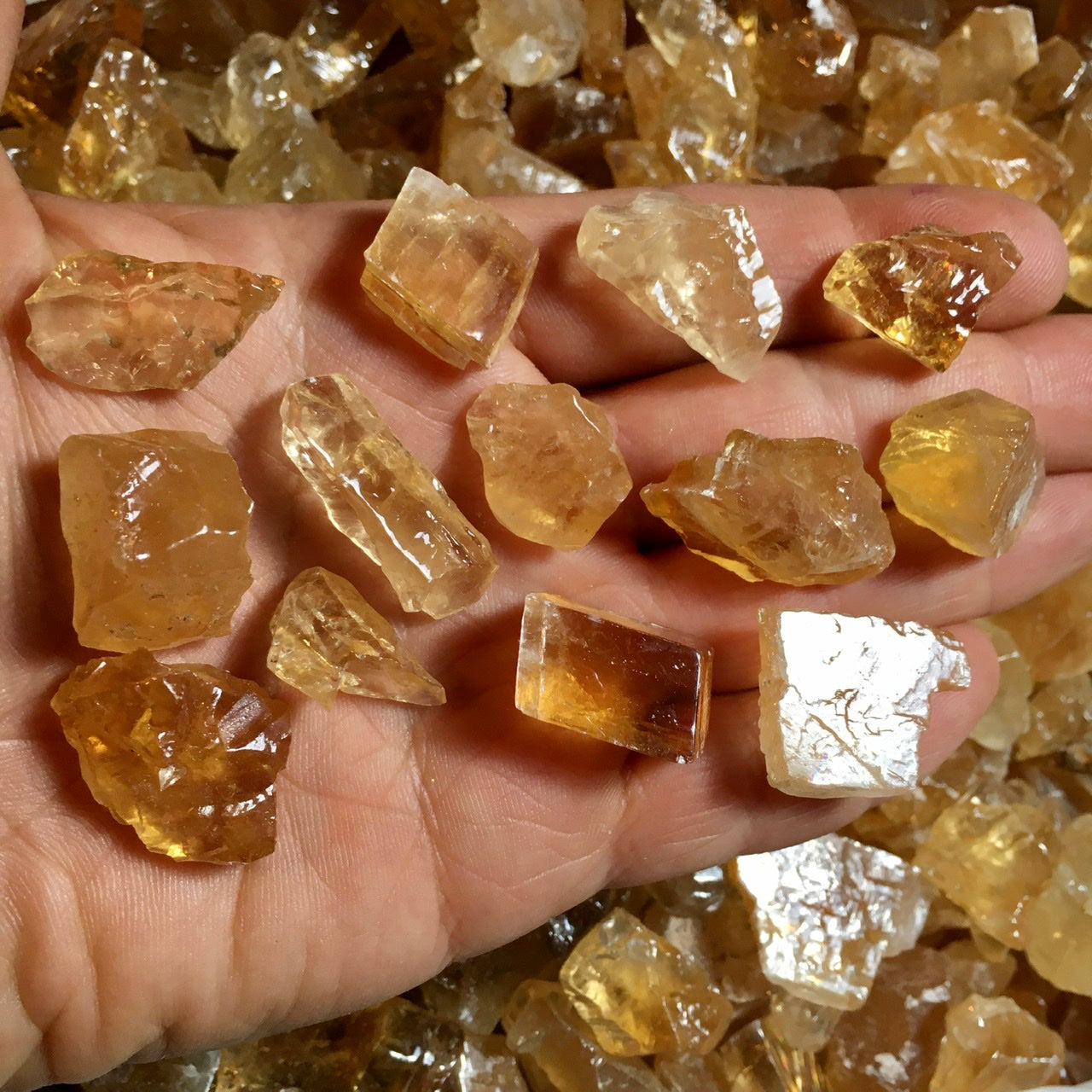 Calcite Collection