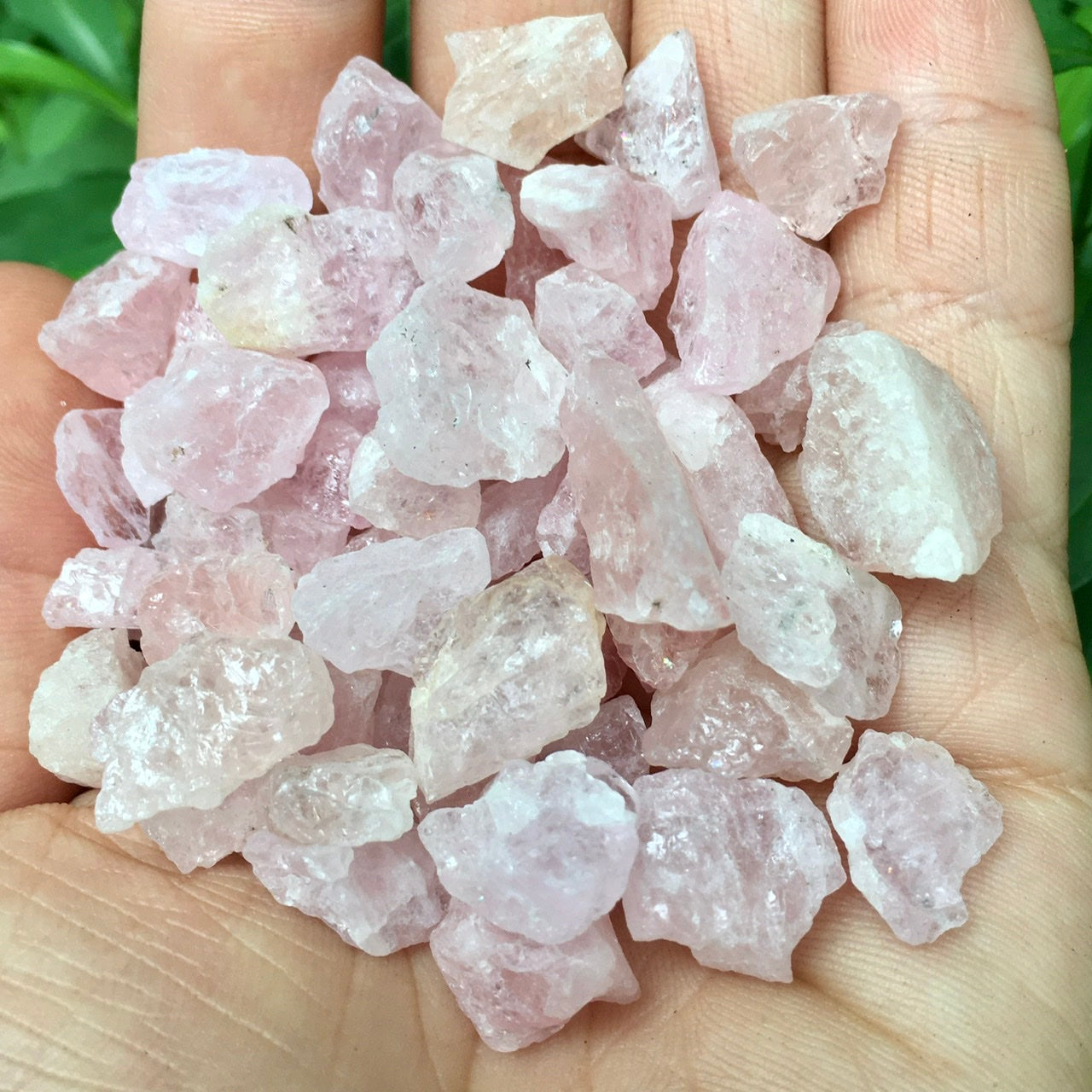 Morganite Collection